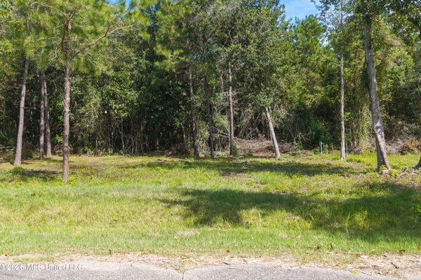 5030 EVELYN PL, BAY SAINT LOUIS, MS 39520 - Image 78302a0cfd4c1d3f4e48031c0e87eedf/4134947941