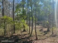 Vacant Land For Sale - Turkey Creek Road<br/> Adams County, Natchez, MS 39120