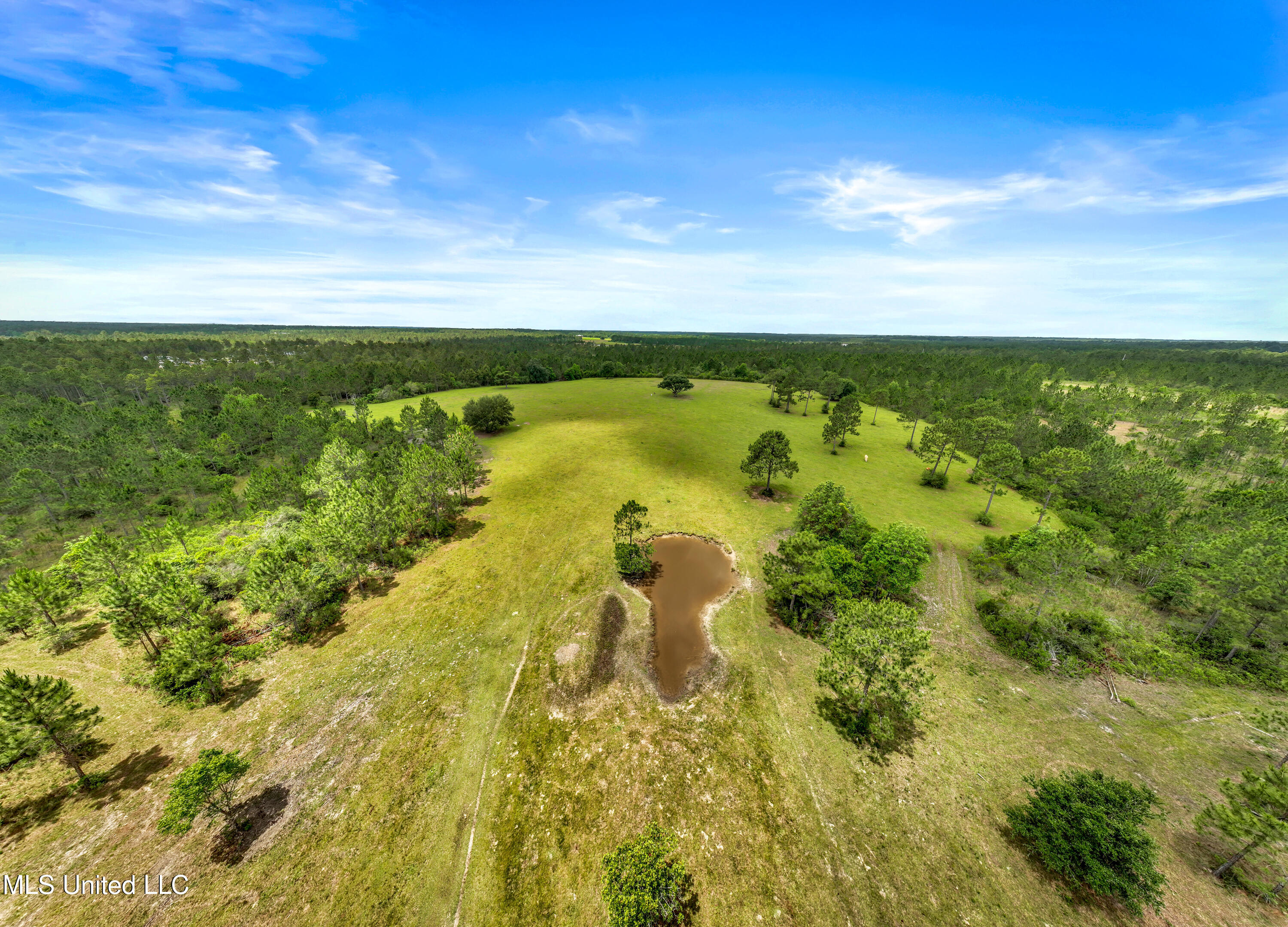 28193 J P Ladner Road, Pass Christian, Mississippi image 10