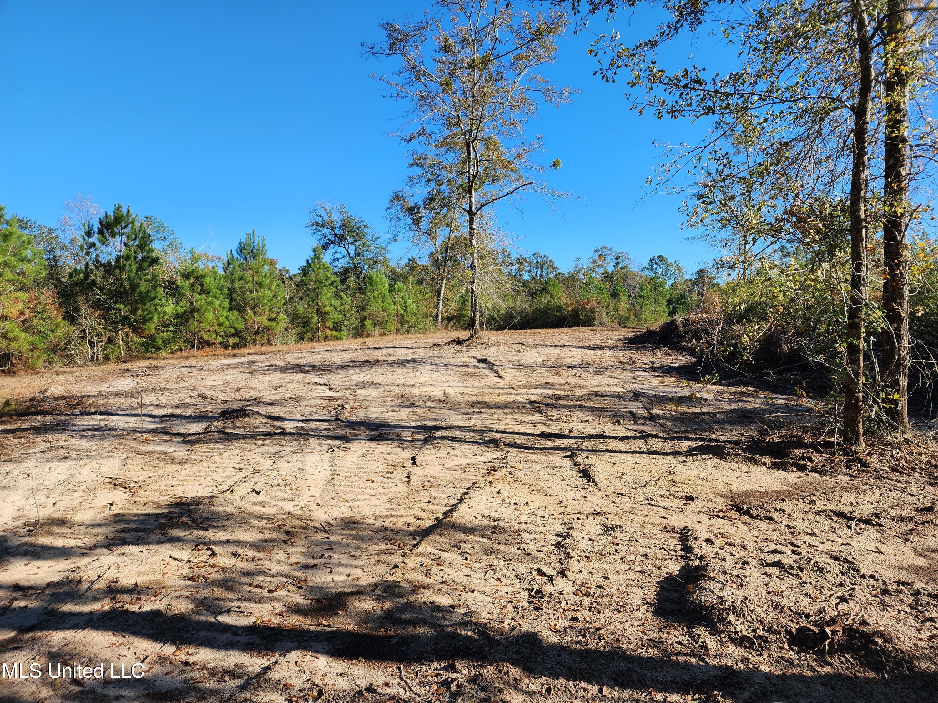 Hopper Road, Lucedale, Mississippi image 24