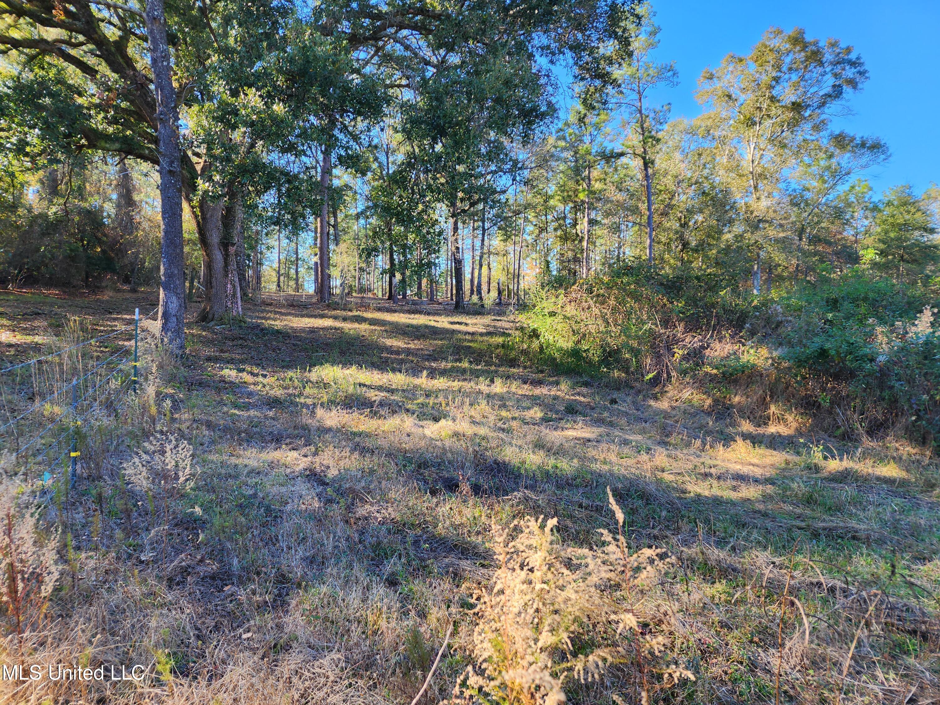 Hopper Road, Lucedale, Mississippi image 17