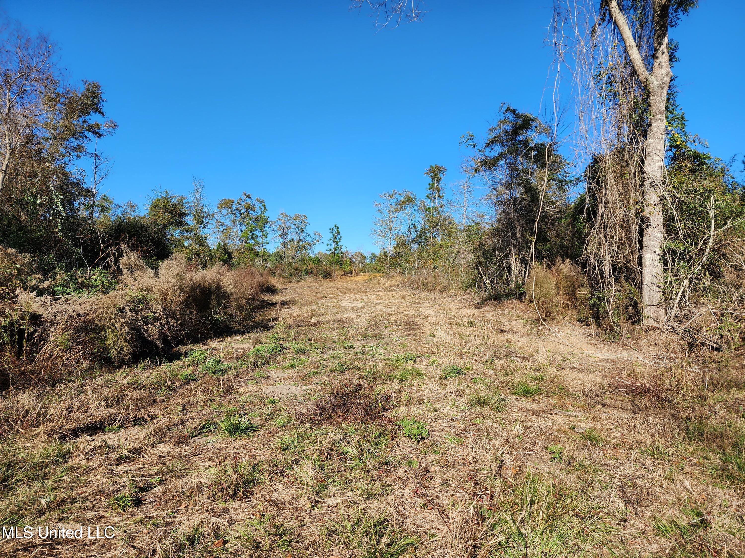 Hopper Road, Lucedale, Mississippi image 19