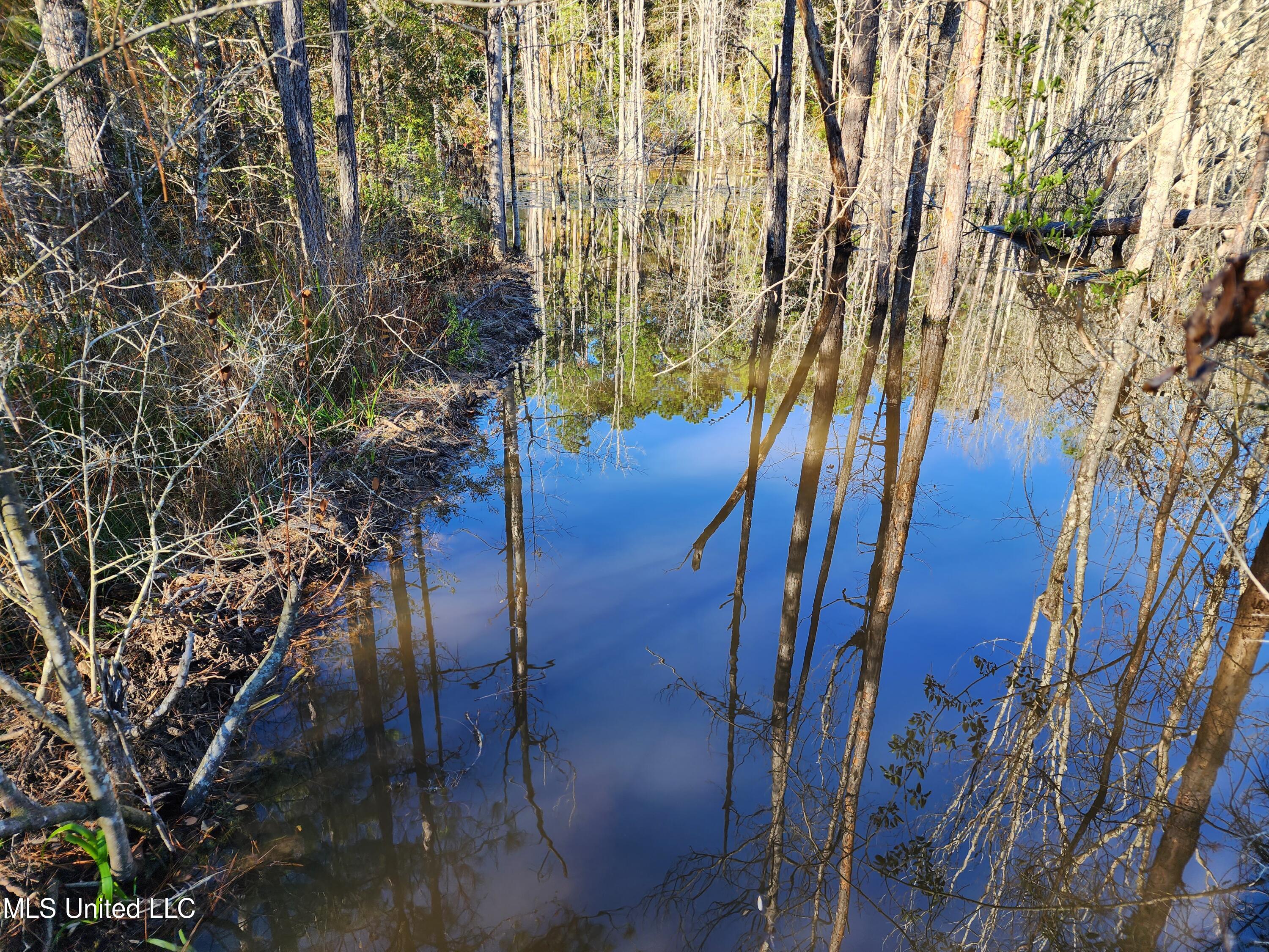 Hopper Road, Lucedale, Mississippi image 28