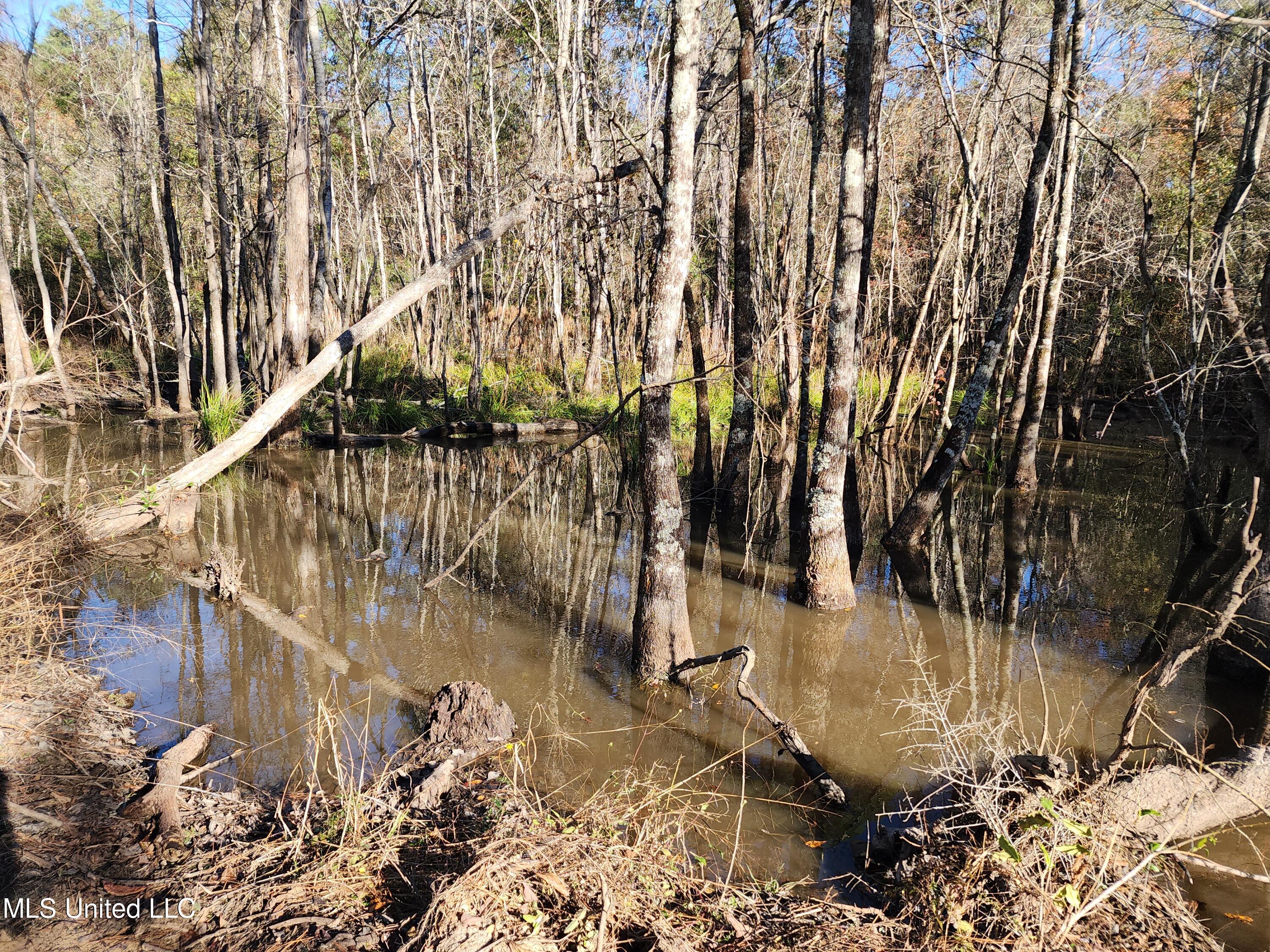 Hopper Road, Lucedale, Mississippi image 37