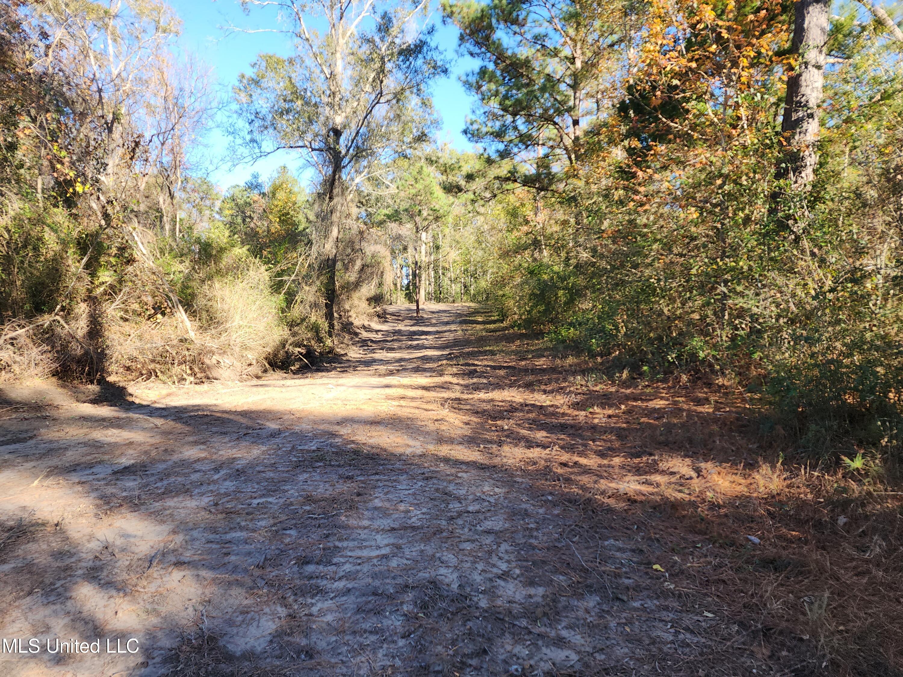 Hopper Road, Lucedale, Mississippi image 45