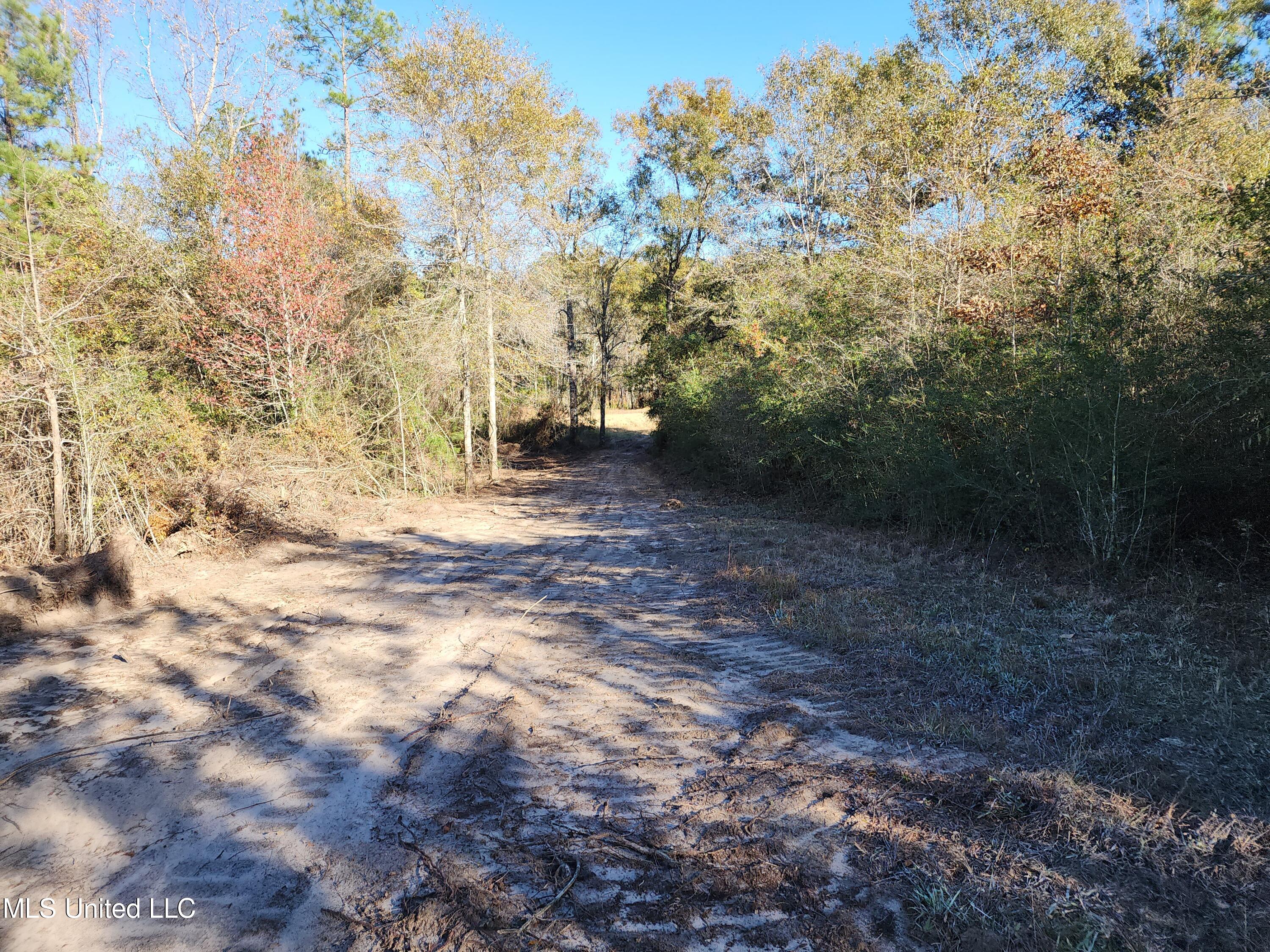 Hopper Road, Lucedale, Mississippi image 35