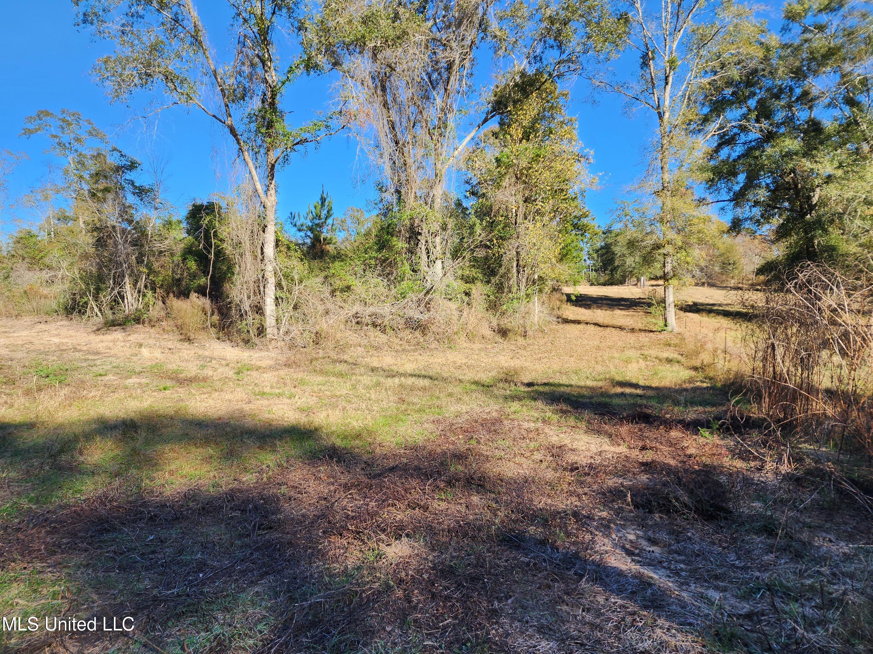 Hopper Road, Lucedale, Mississippi image 18