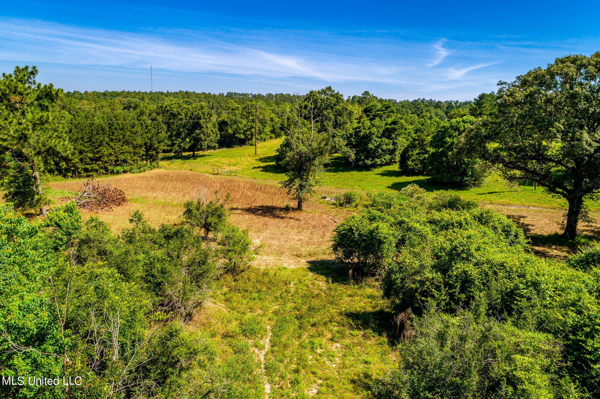 Hopper Road, Lucedale, Mississippi image 8