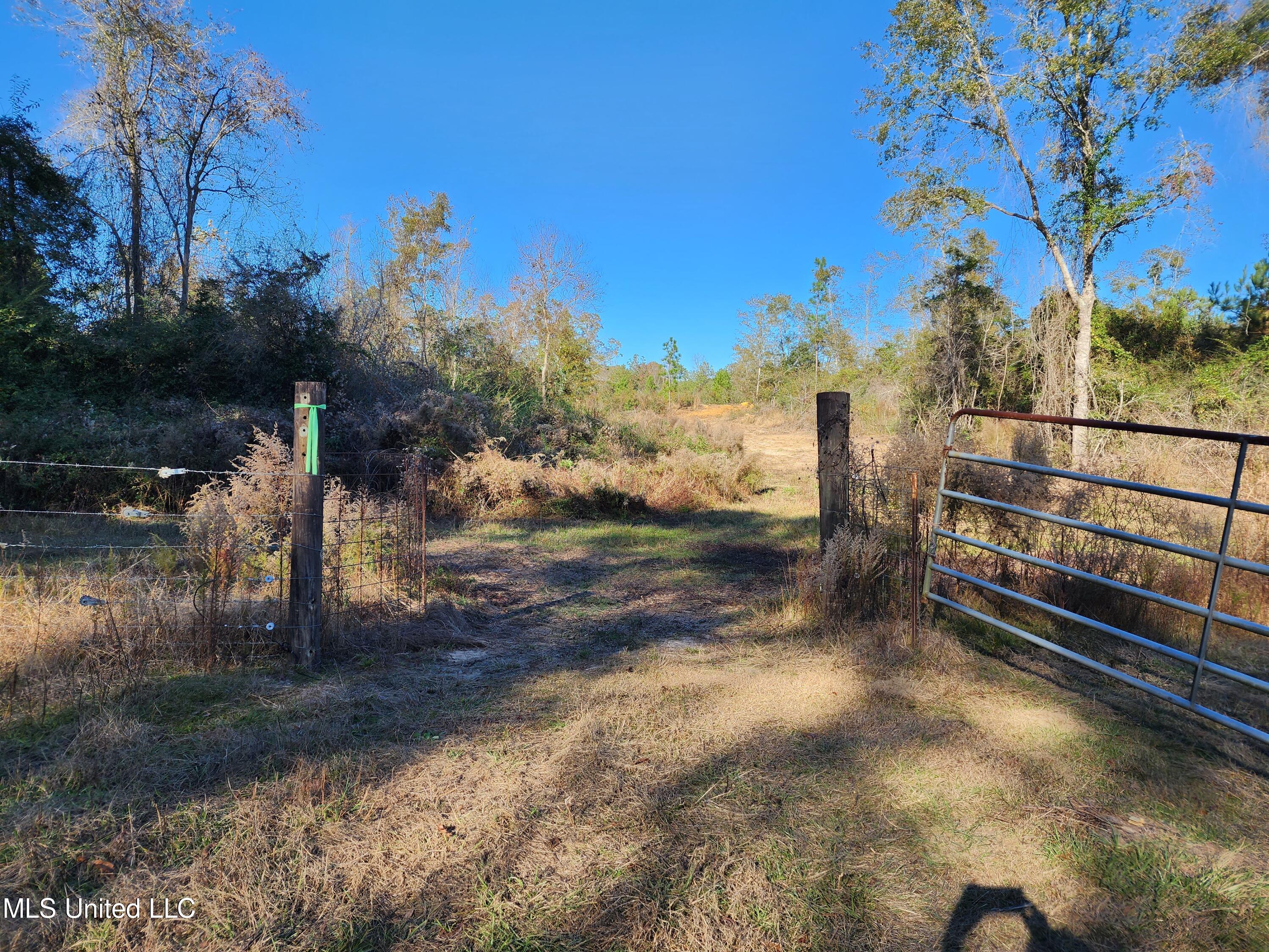 Hopper Road, Lucedale, Mississippi image 16