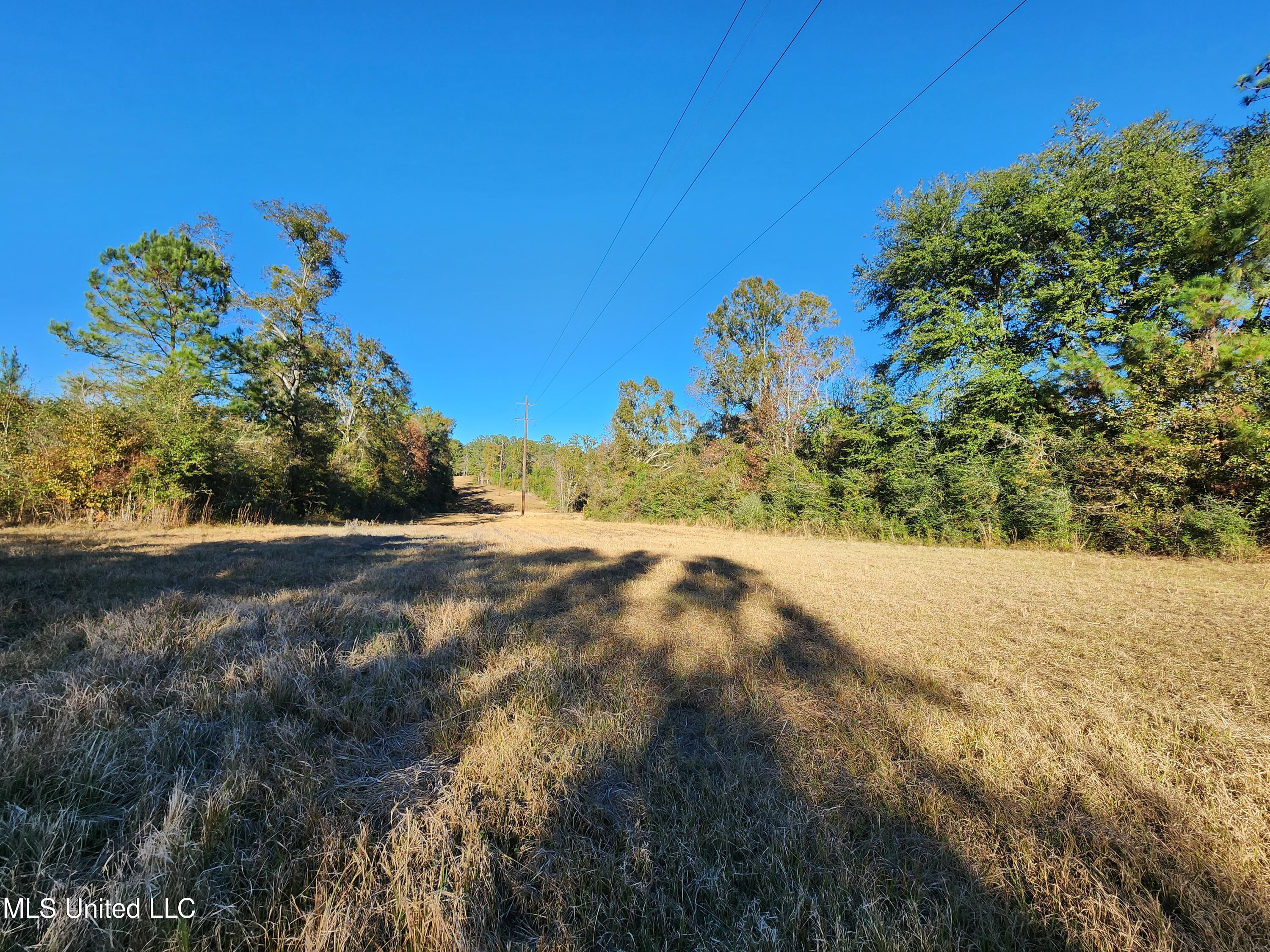 Hopper Road, Lucedale, Mississippi image 42