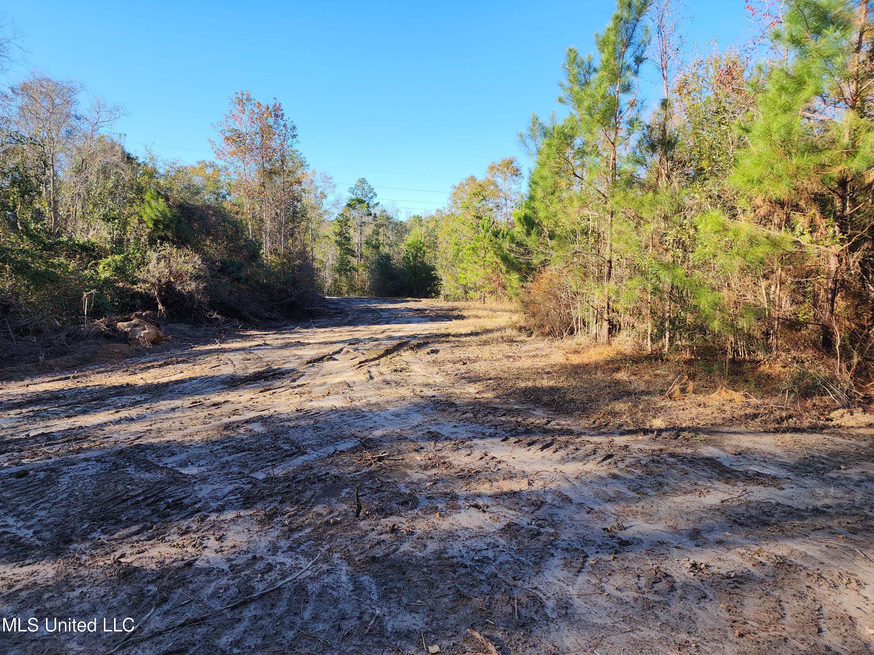 Hopper Road, Lucedale, Mississippi image 46