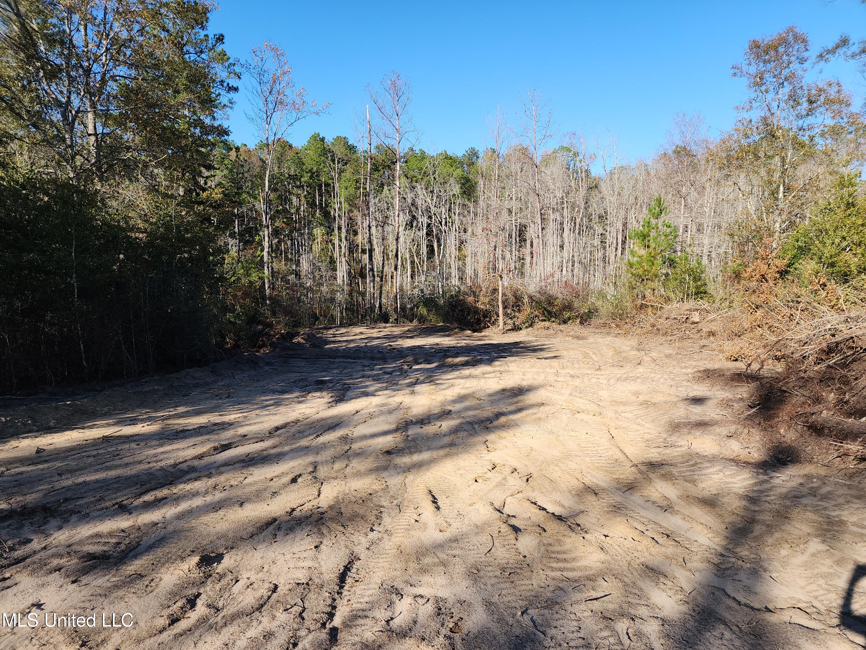 Hopper Road, Lucedale, Mississippi image 32