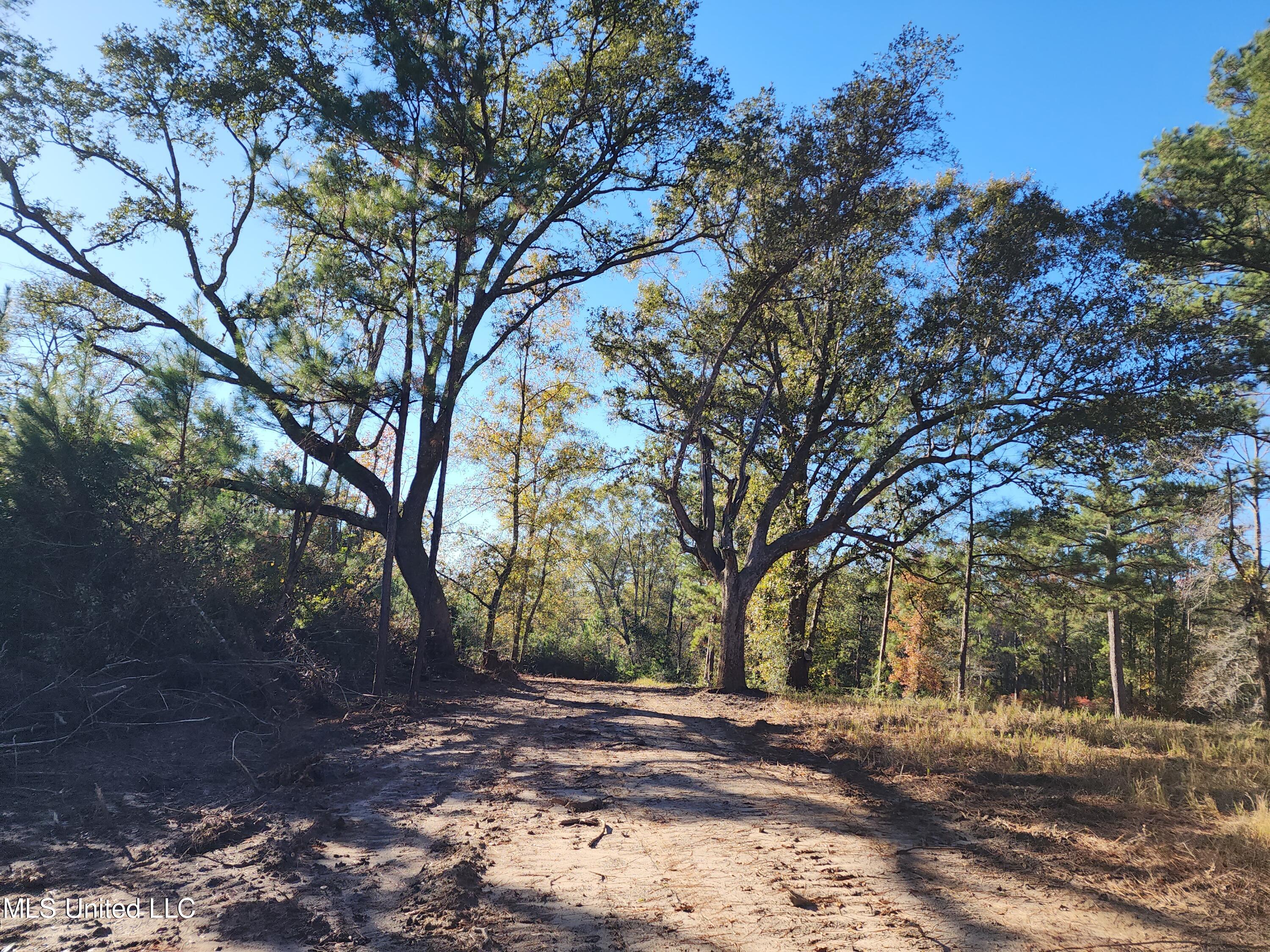 Hopper Road, Lucedale, Mississippi image 44