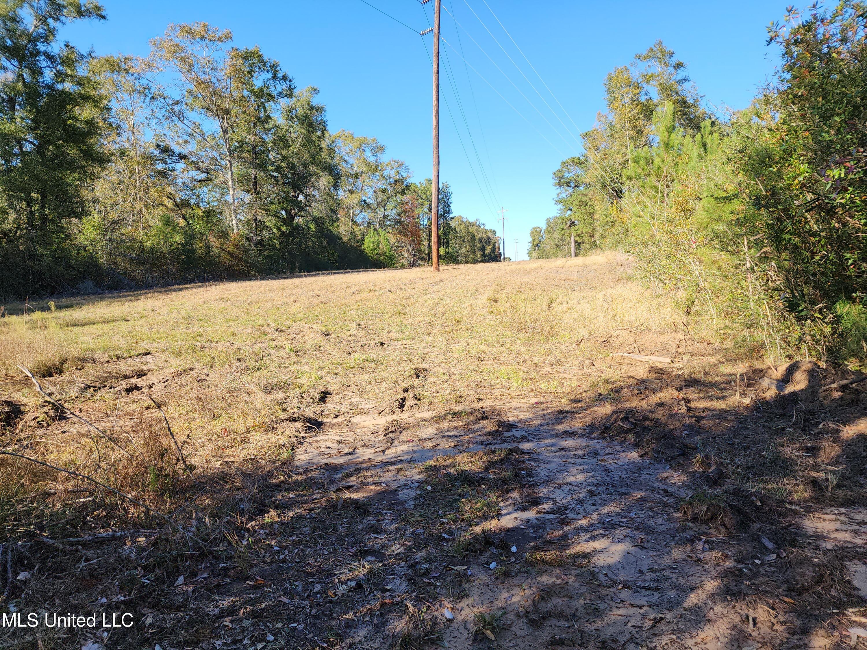 Hopper Road, Lucedale, Mississippi image 40