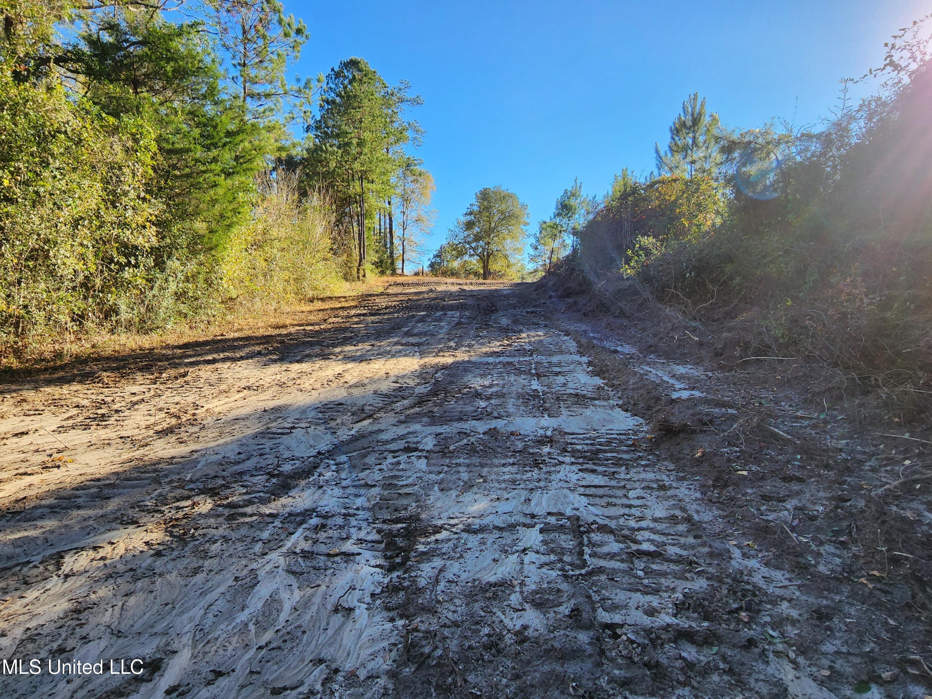 Hopper Road, Lucedale, Mississippi image 47