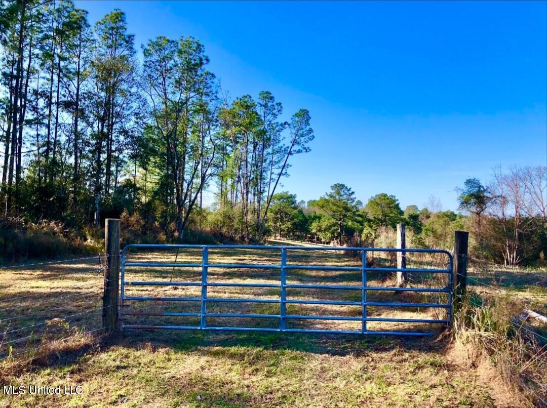 Hopper Road, Lucedale, Mississippi image 13