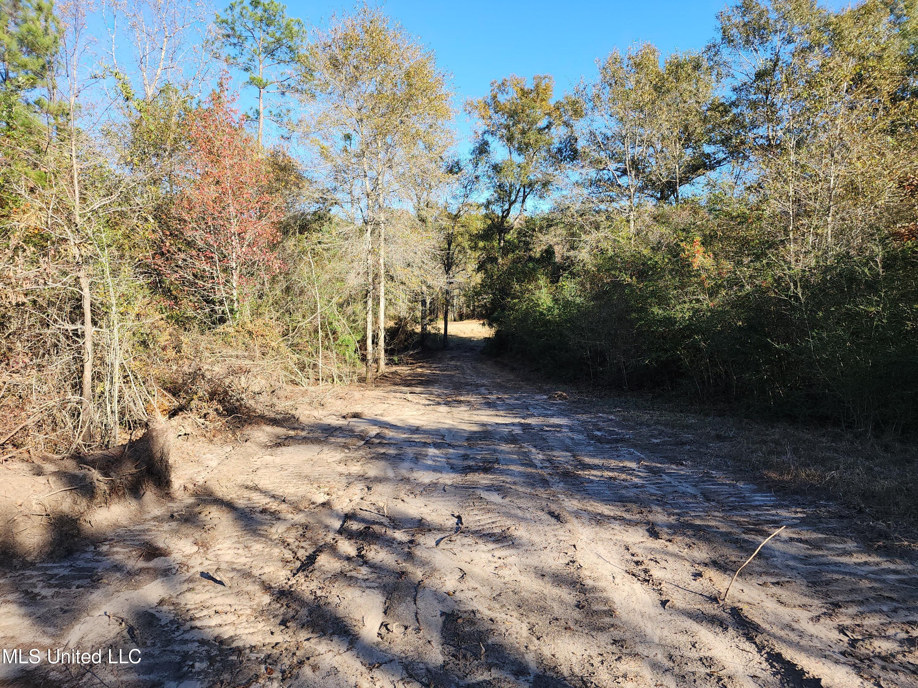 Hopper Road, Lucedale, Mississippi image 38