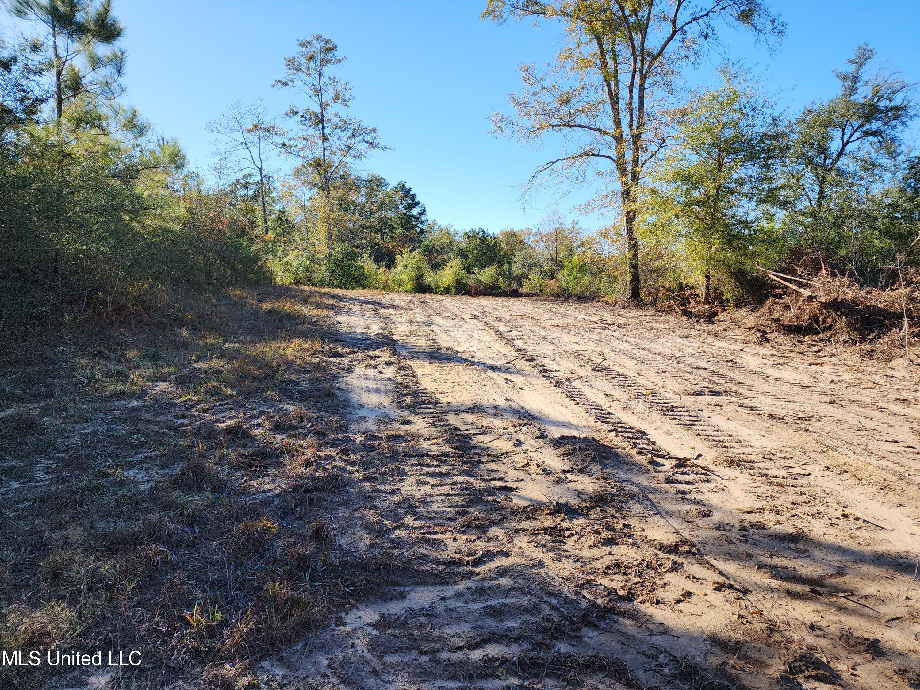 Hopper Road, Lucedale, Mississippi image 34