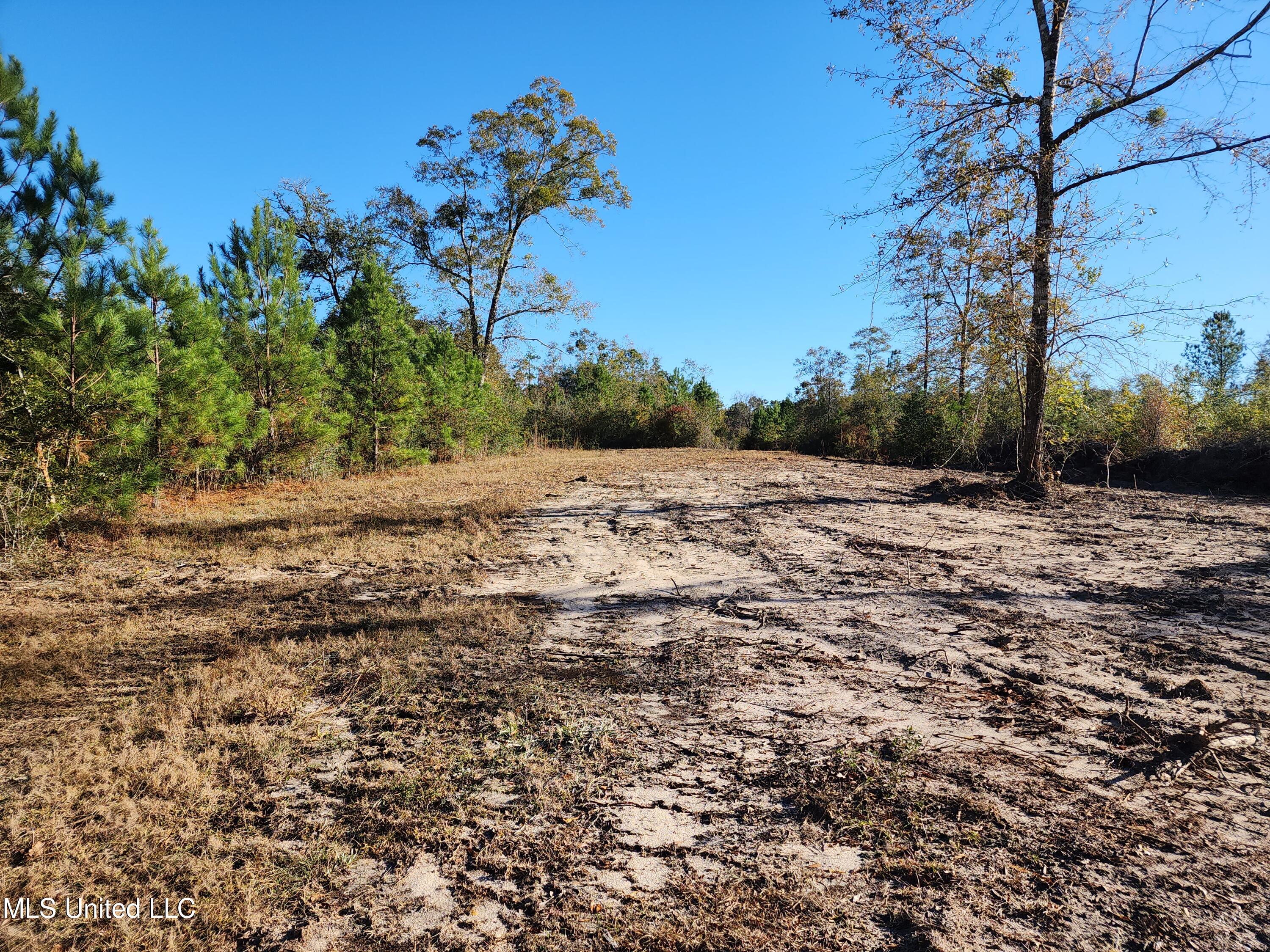 Hopper Road, Lucedale, Mississippi image 33