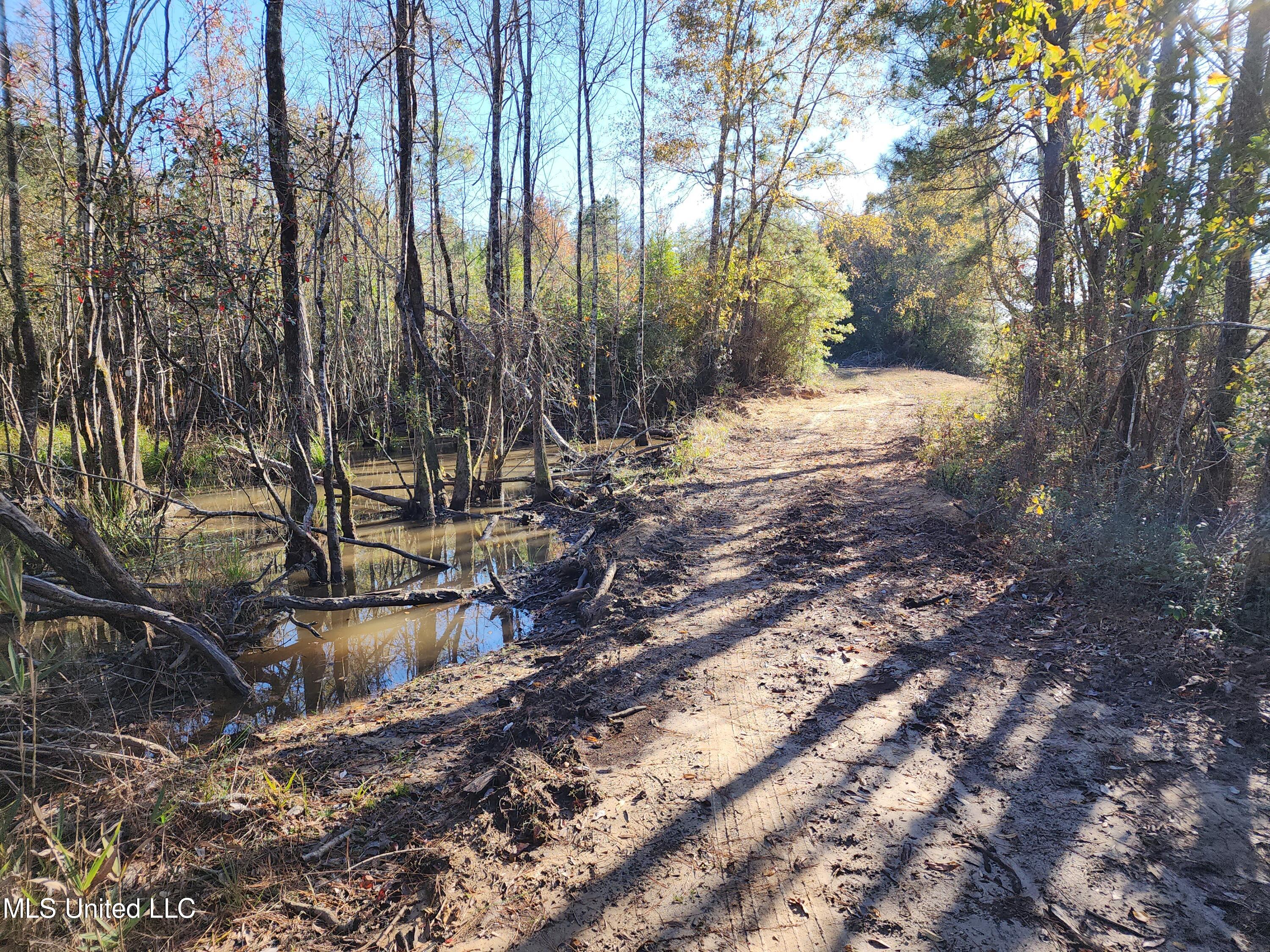 Hopper Road, Lucedale, Mississippi image 36