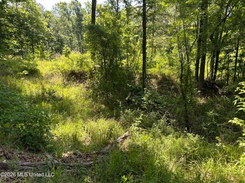 Vacant Land For Sale - Sleepy Hollow Road<br/> Terry, MS 39170