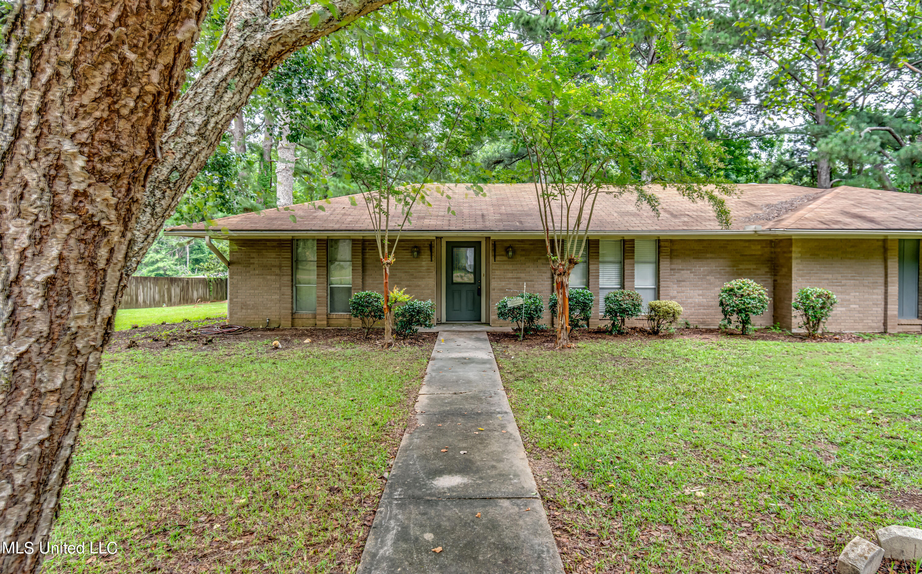 Monticello, Mississippi 39654, United States, 3 Bedrooms Bedrooms, ,2 BathroomsBathrooms,Residential,Pending,50824