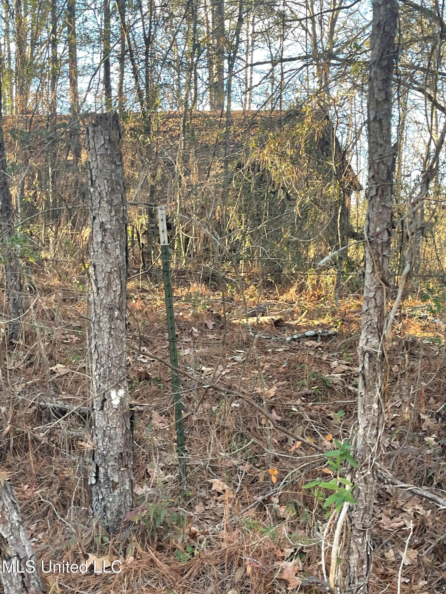 1863 Robinson Road, Canton, Mississippi image 1