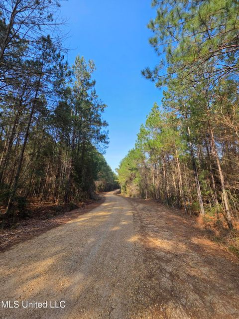 Vacant Land For Sale - Wildwood Trail<br/> Meadville, MS 39653