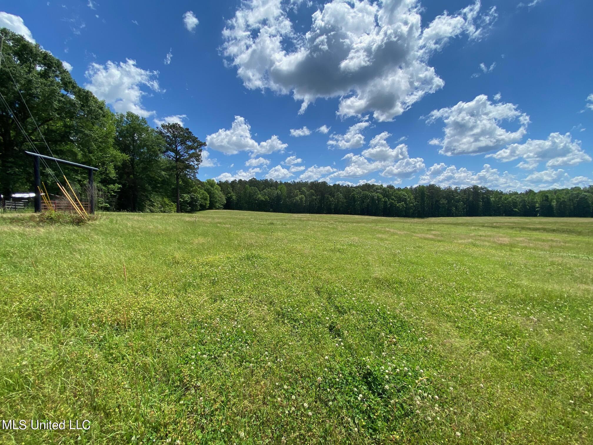 County Road 684, Quitman, Mississippi image 7