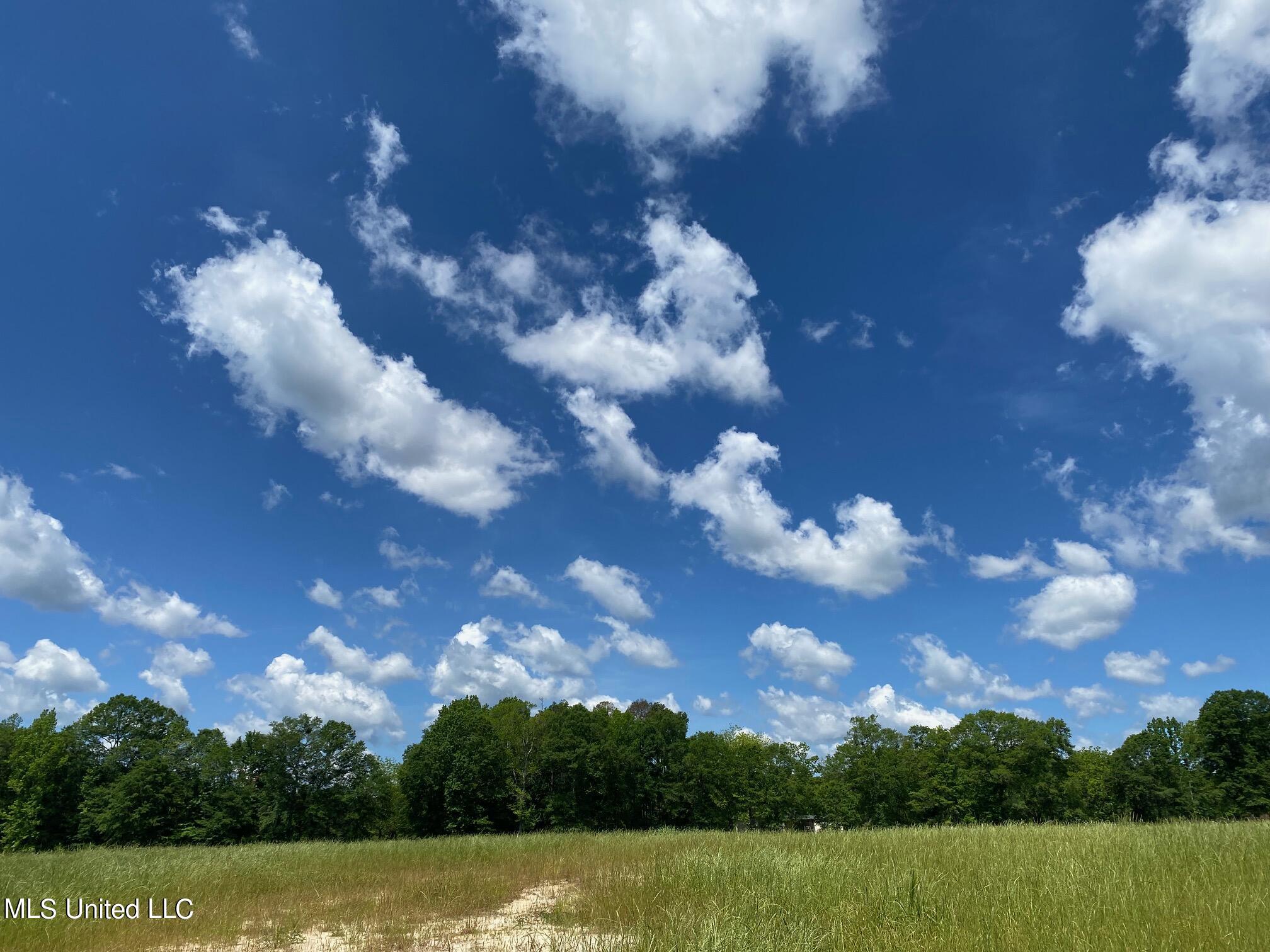 County Road 684, Quitman, Mississippi image 22