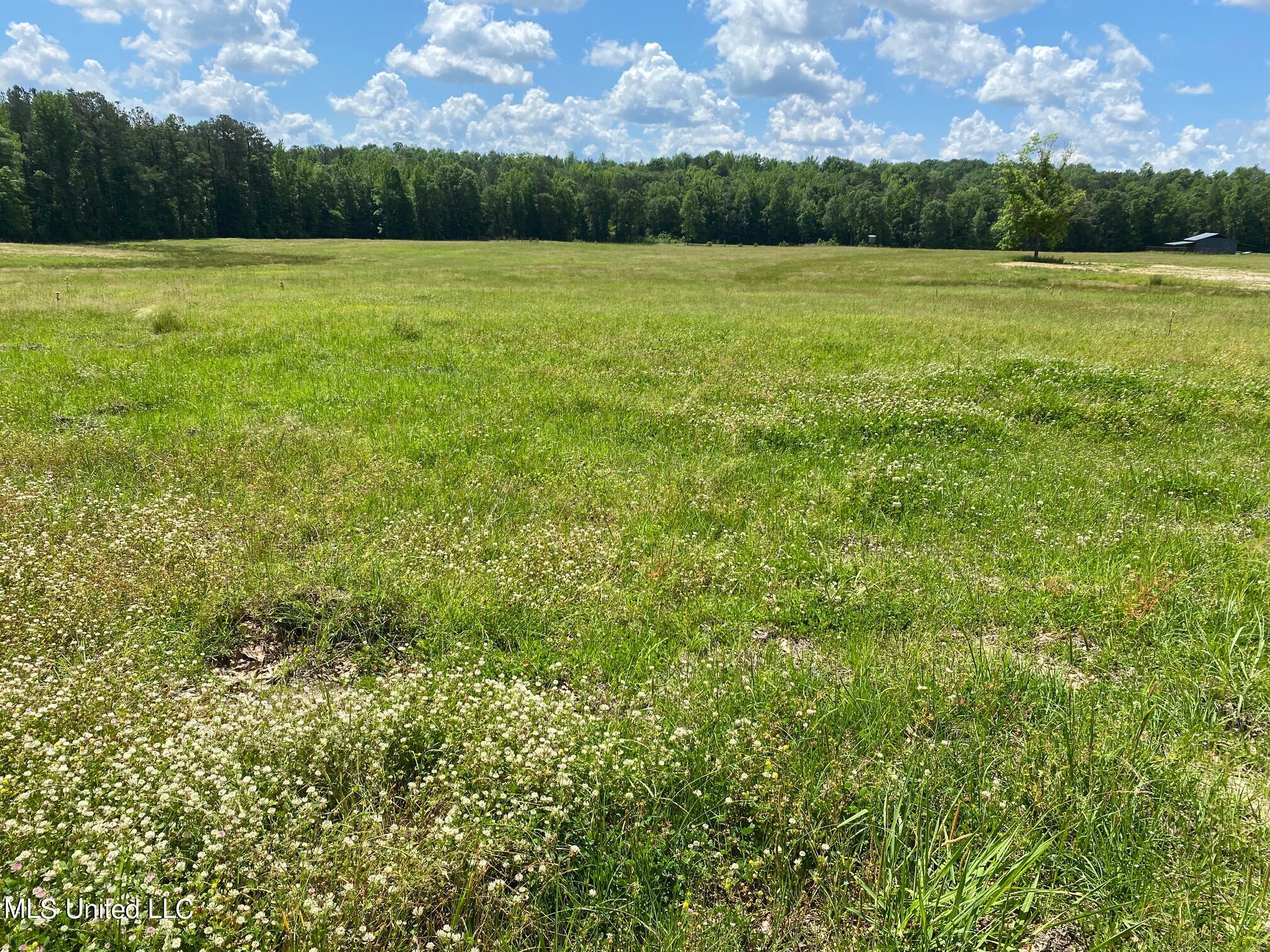 County Road 684, Quitman, Mississippi image 5