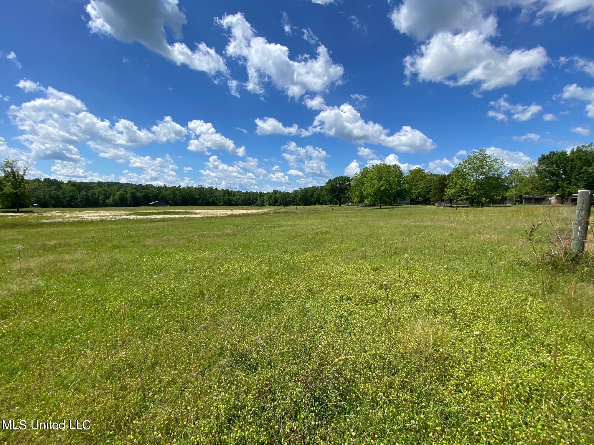 County Road 684, Quitman, Mississippi image 9