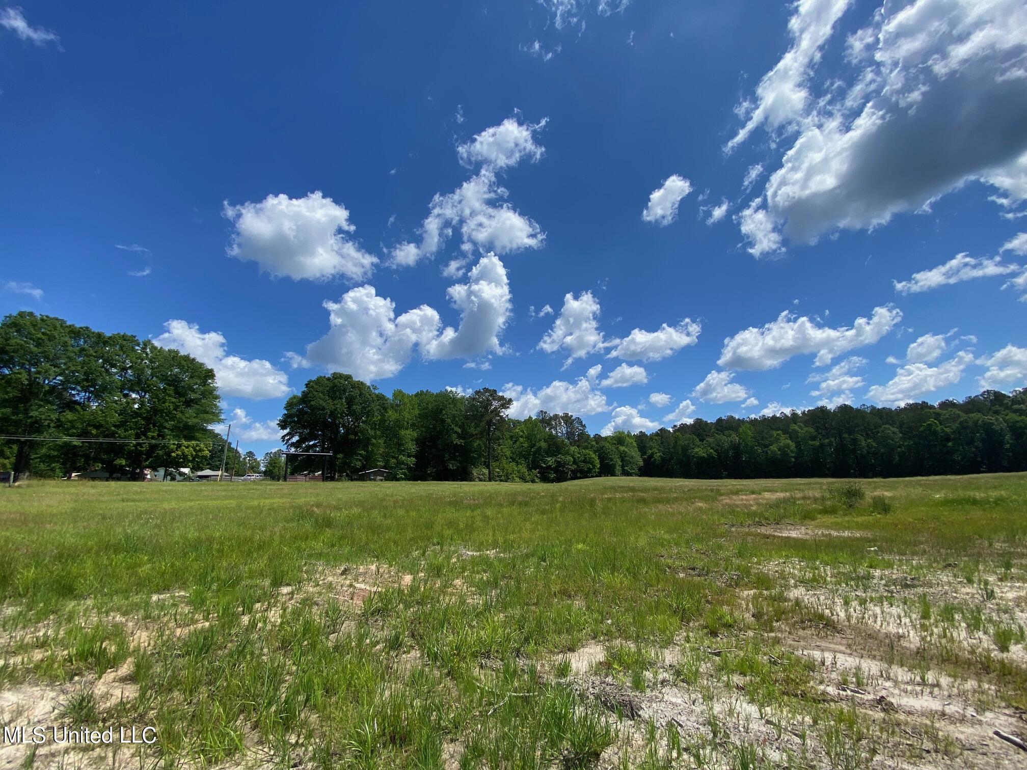 County Road 684, Quitman, Mississippi image 11