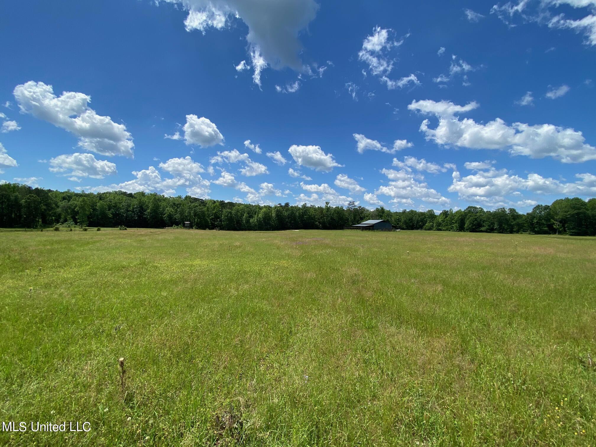 County Road 684, Quitman, Mississippi image 14