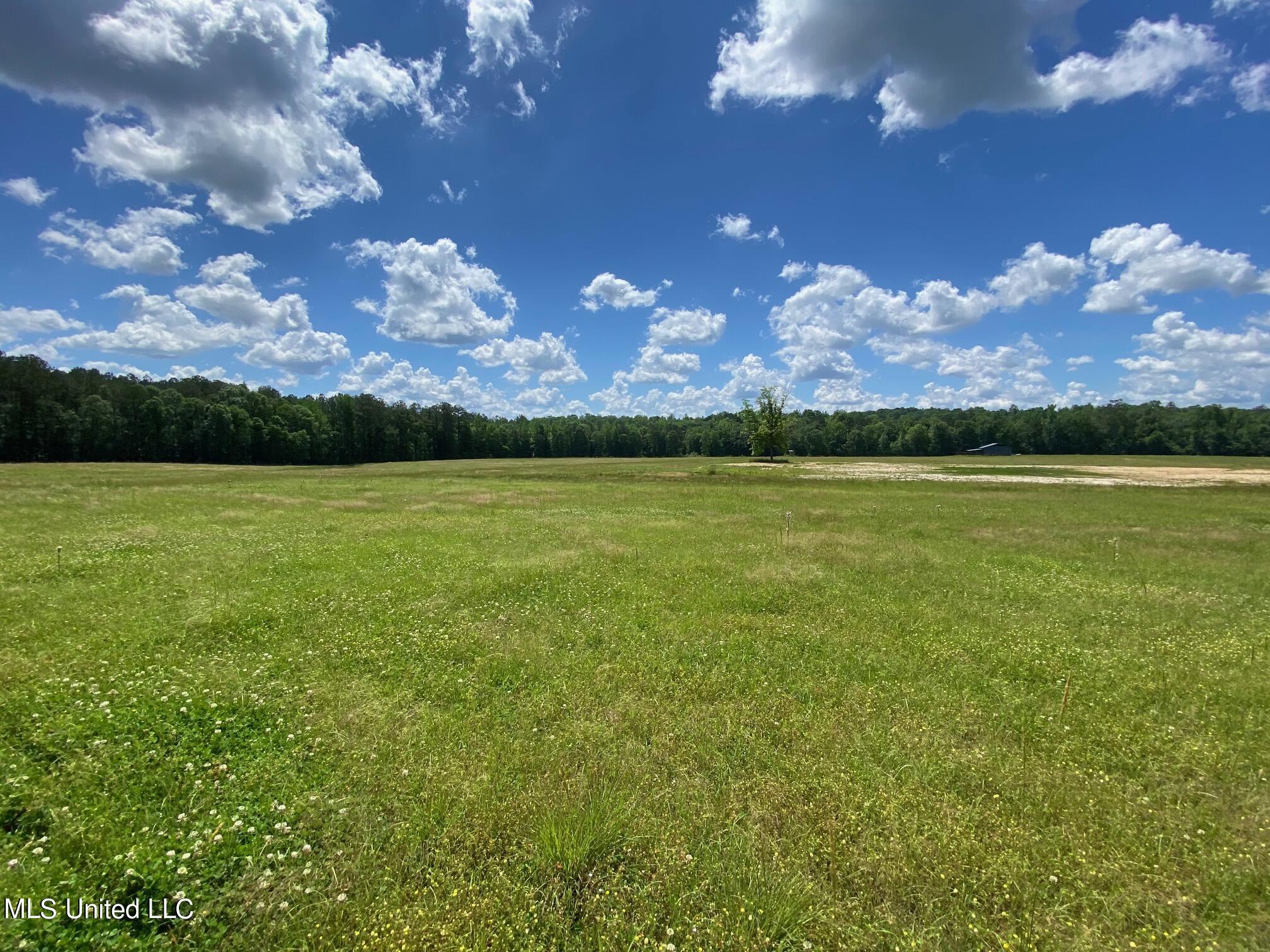 County Road 684, Quitman, Mississippi image 8