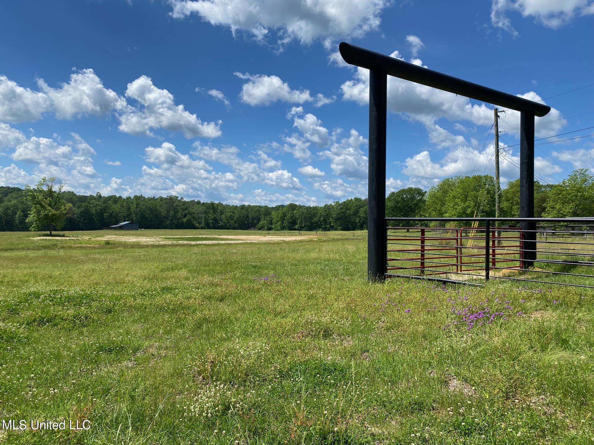 County Road 684, Quitman, Mississippi image 6