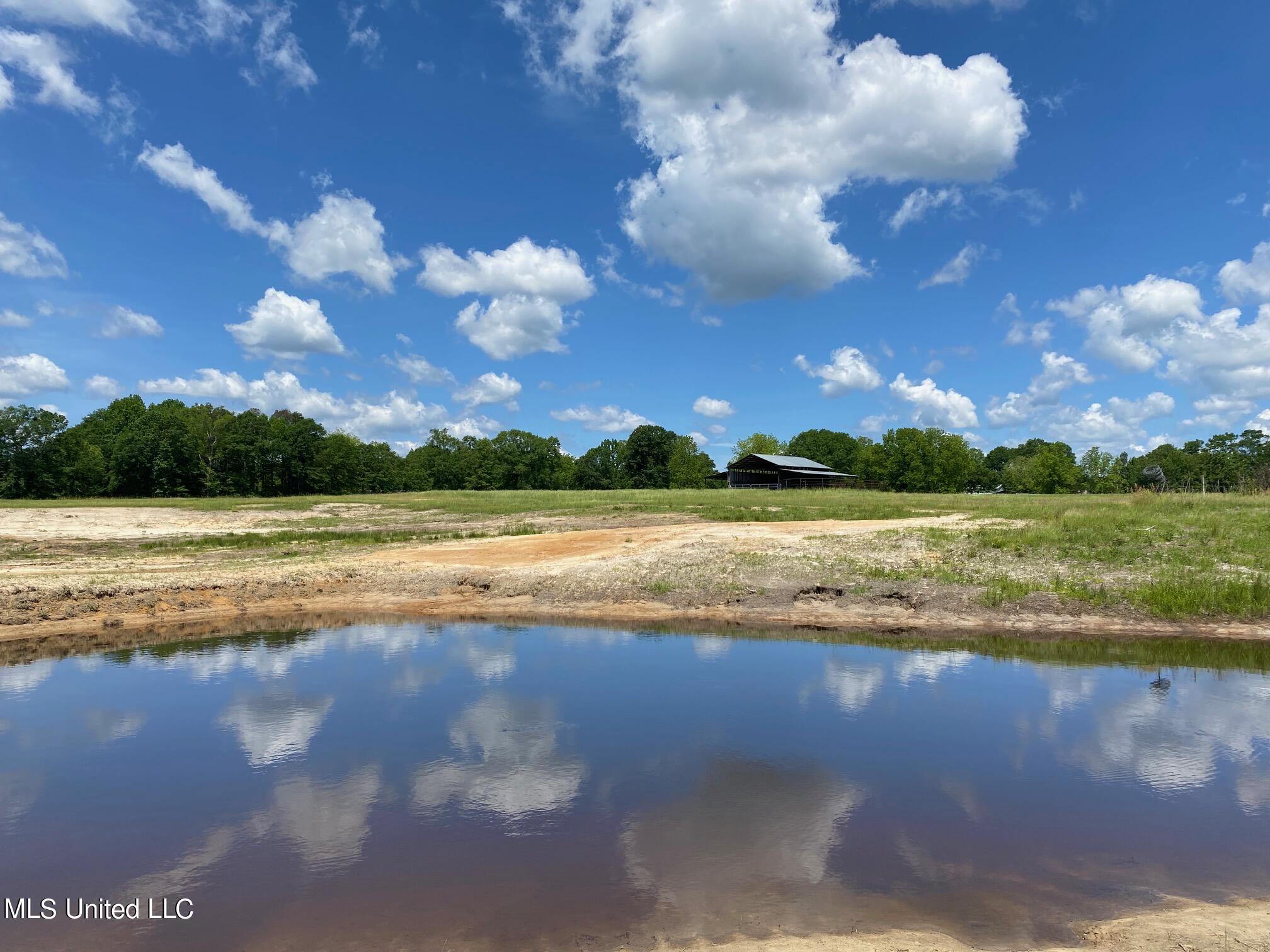 County Road 684, Quitman, Mississippi image 23