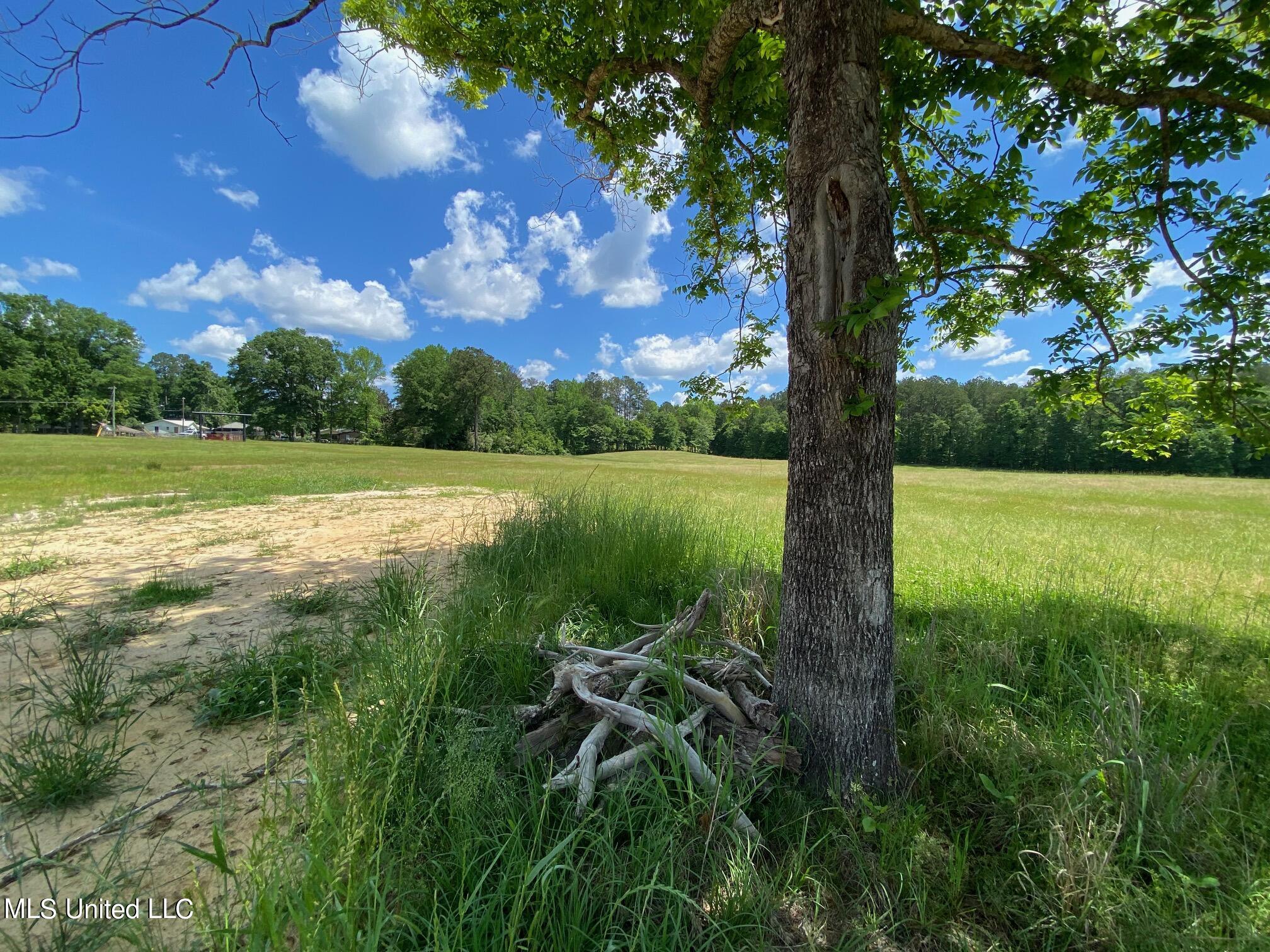 County Road 684, Quitman, Mississippi image 13