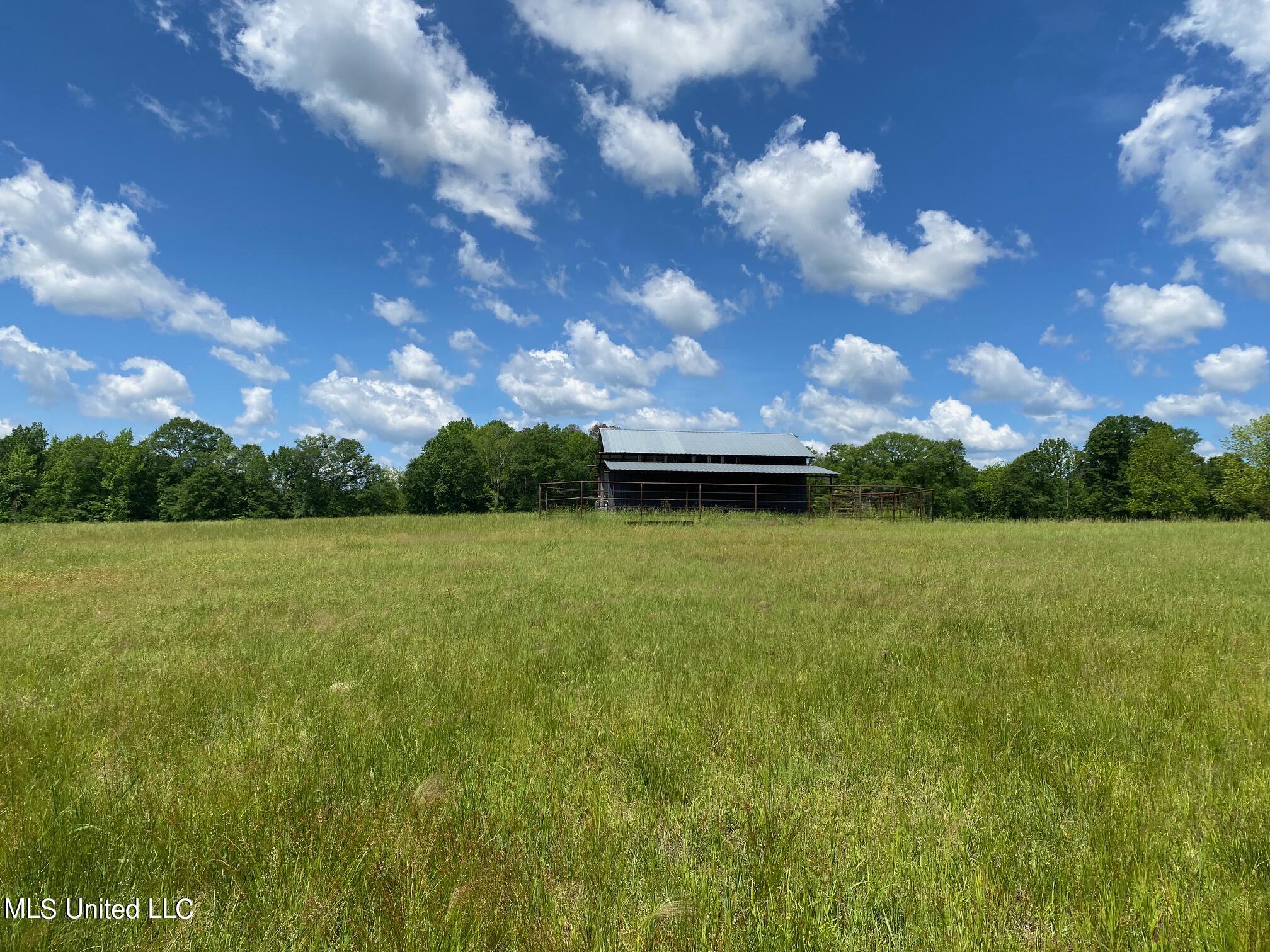 County Road 684, Quitman, Mississippi image 17