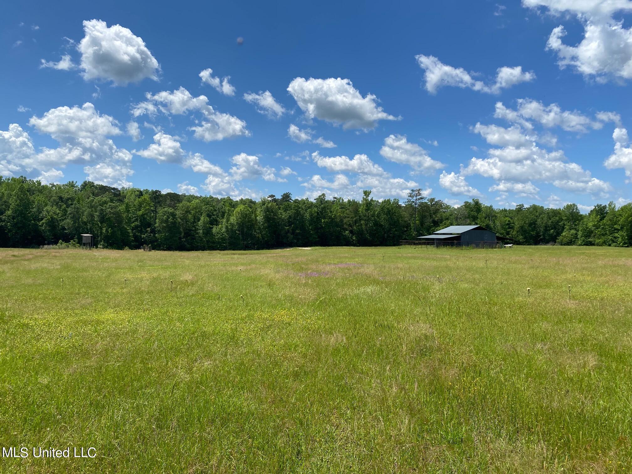 County Road 684, Quitman, Mississippi image 15