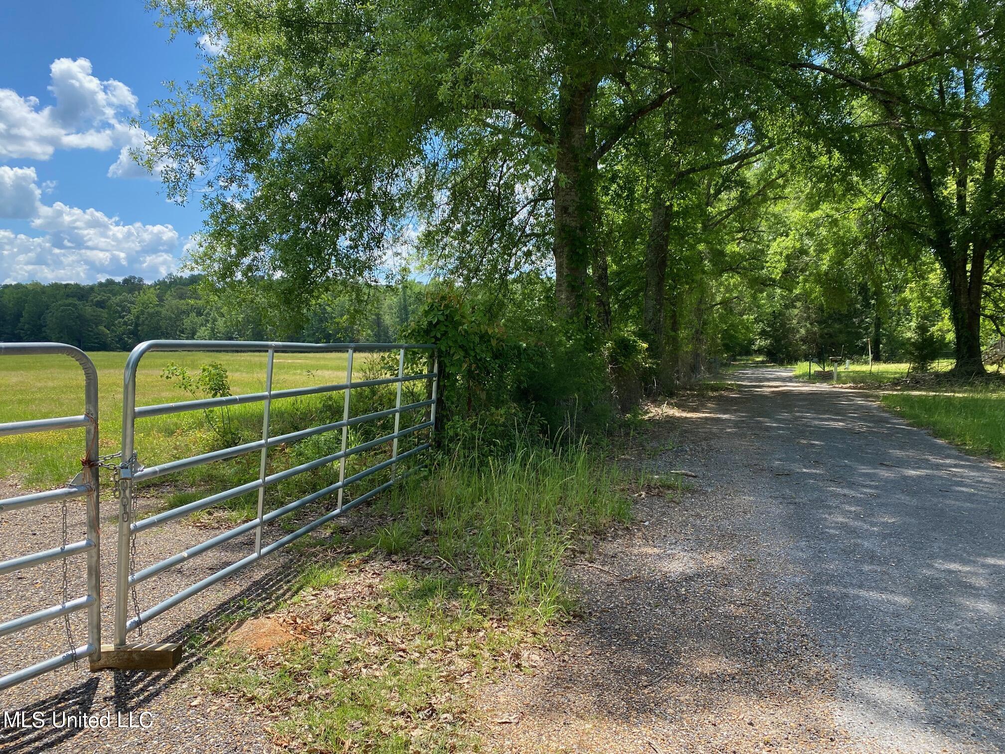 County Road 684, Quitman, Mississippi image 27