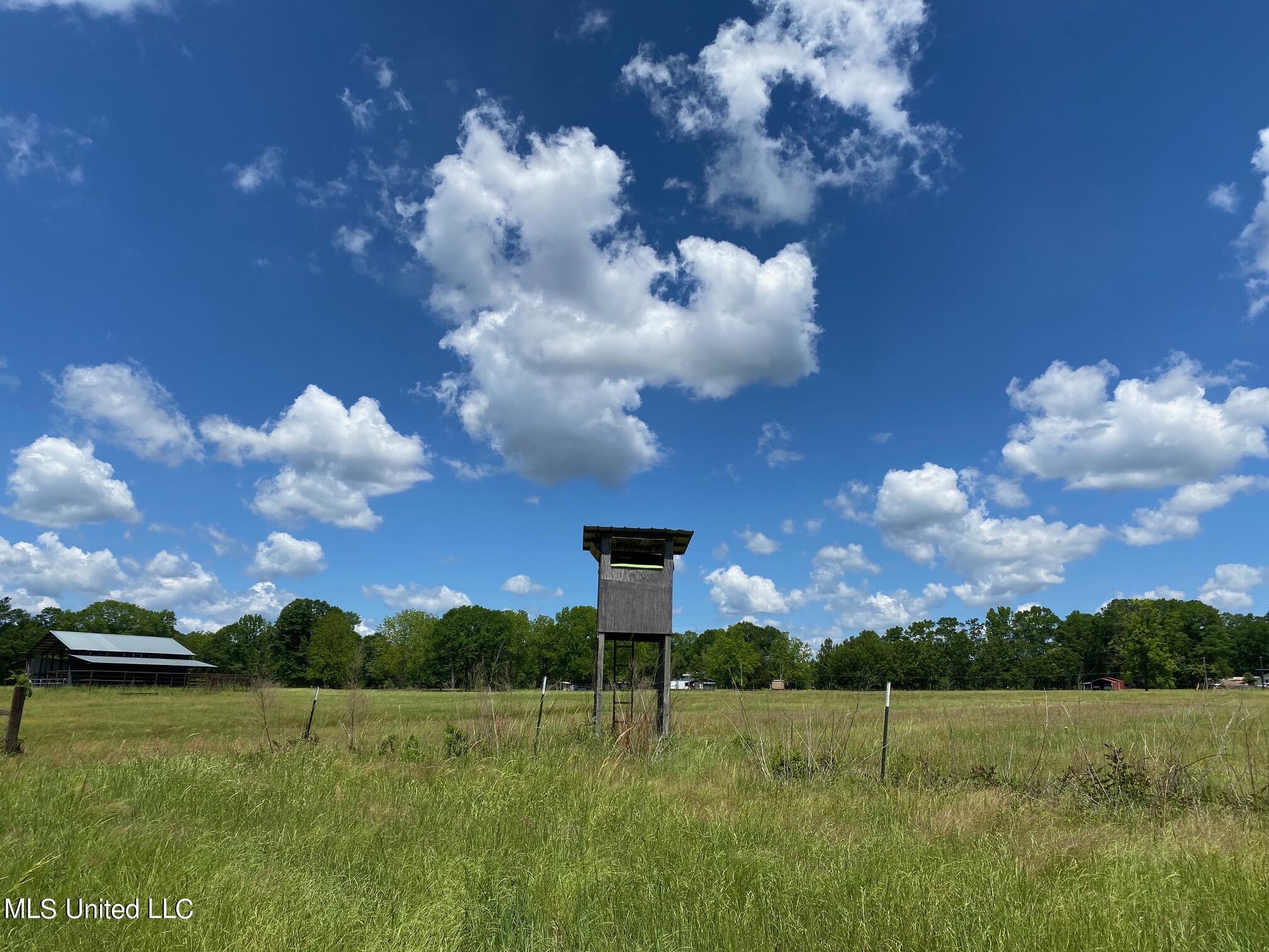 County Road 684, Quitman, Mississippi image 25