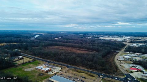 Vacant Land For Sale - 217 Weisenberger Road<br/> Madison County, Madison, MS 39110