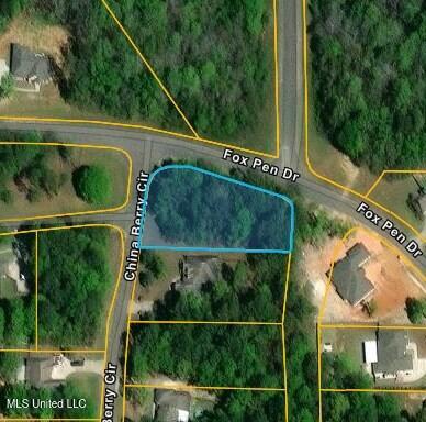 Lot 33 Chinaberry Circle, Carriere, Mississippi image 25