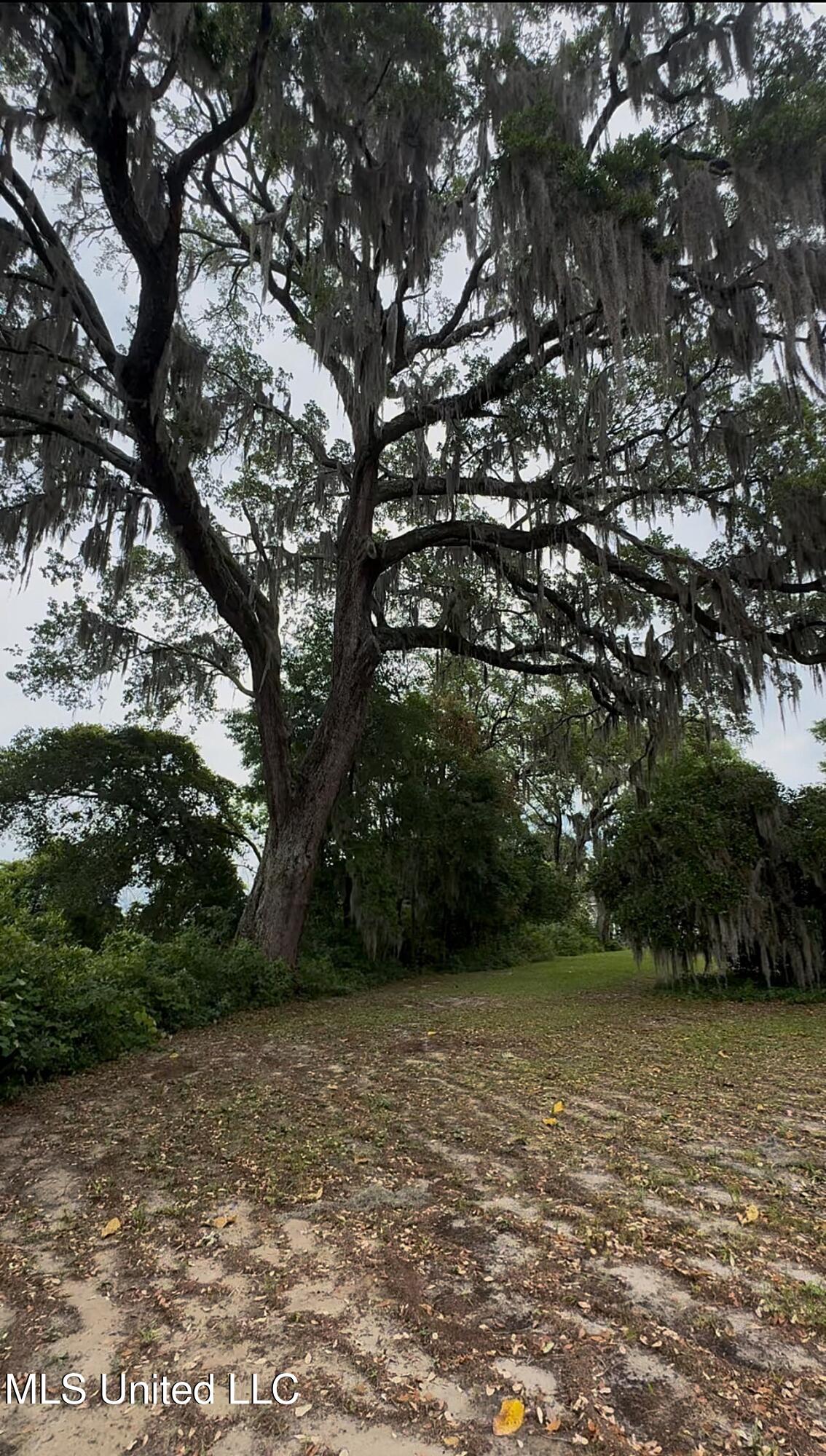 2154 Harmanson Vue, Biloxi, Mississippi image 9