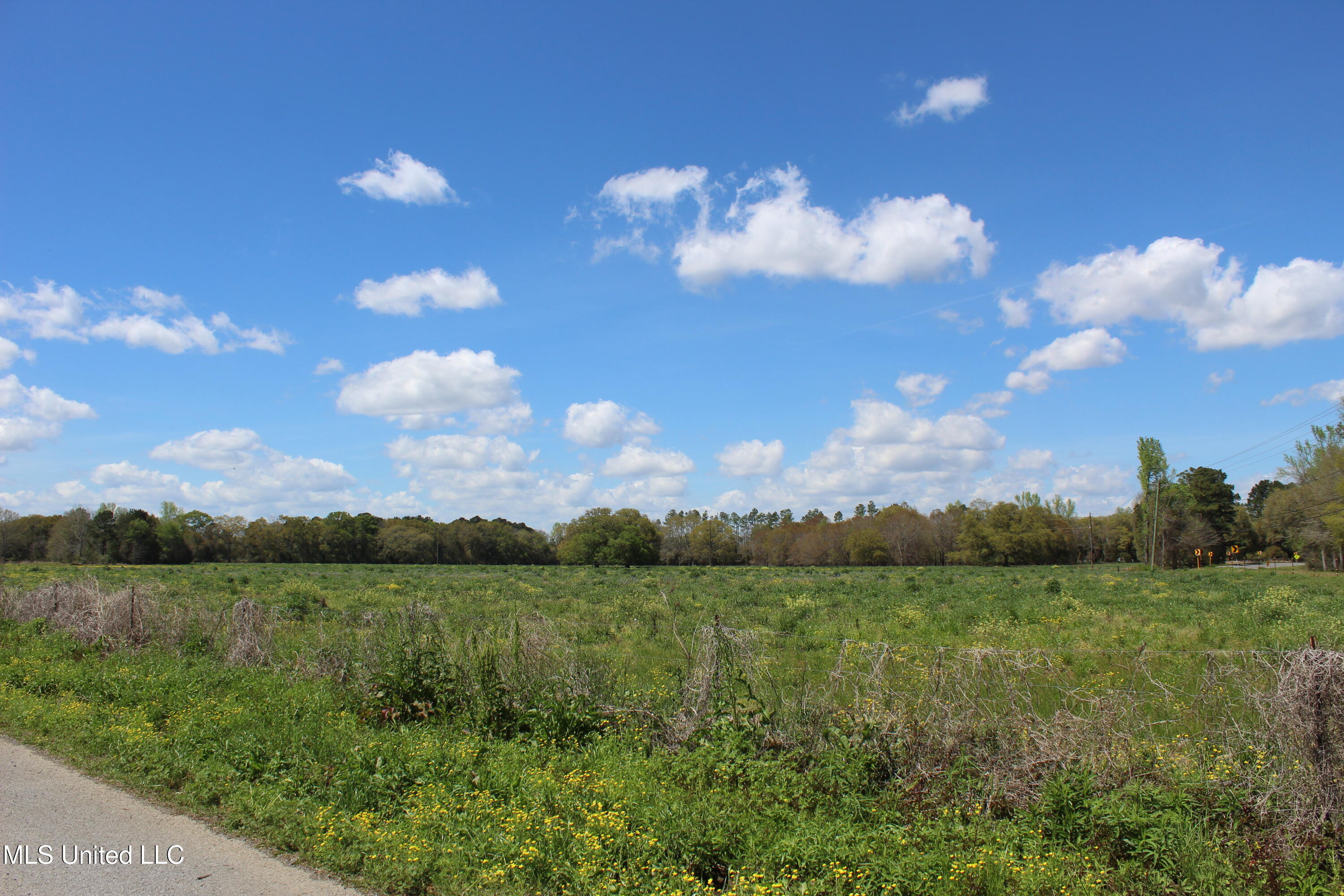 37.9 Acres Ceres Farm Road, Lucedale, Mississippi image 3