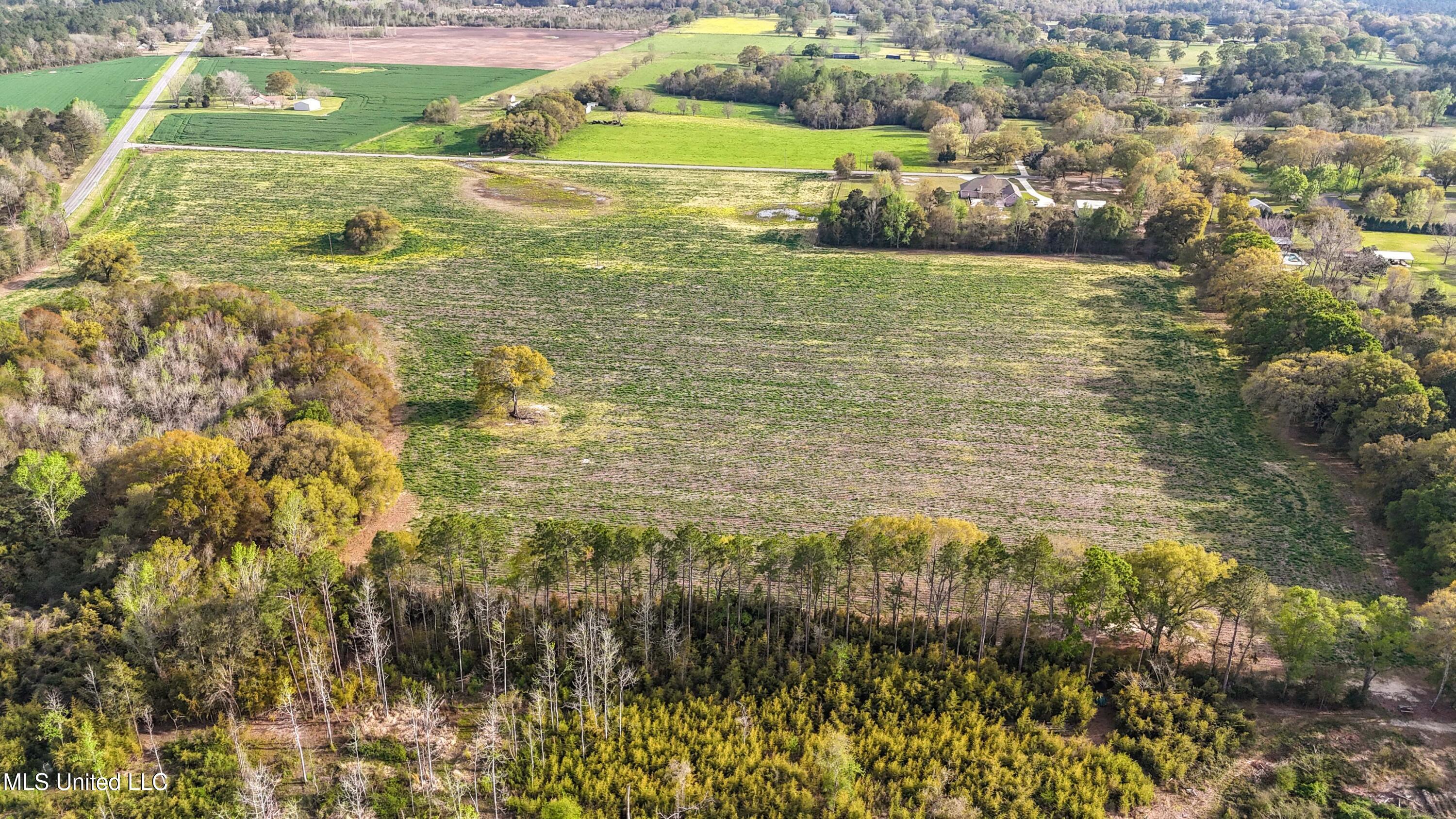 37.9 Acres Ceres Farm Road, Lucedale, Mississippi image 7