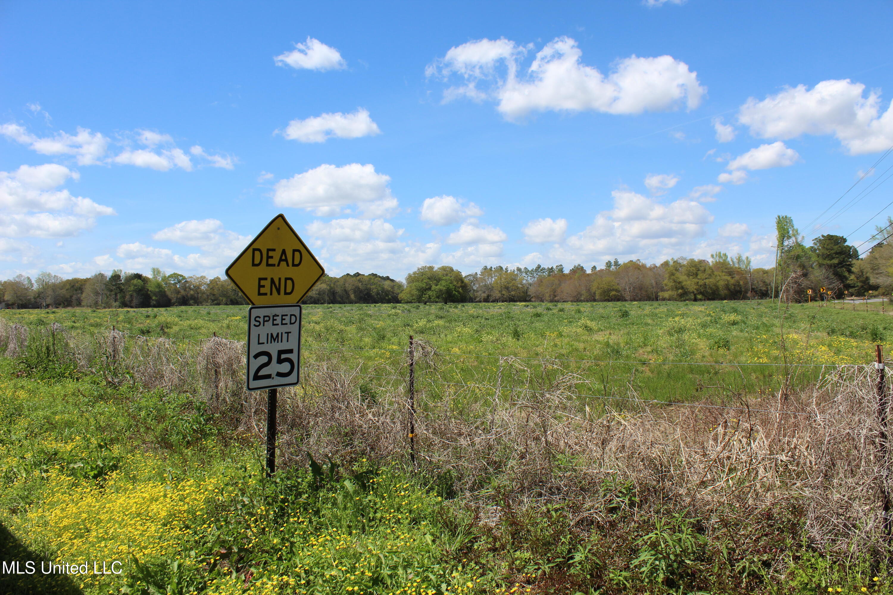37.9 Acres Ceres Farm Road, Lucedale, Mississippi image 5