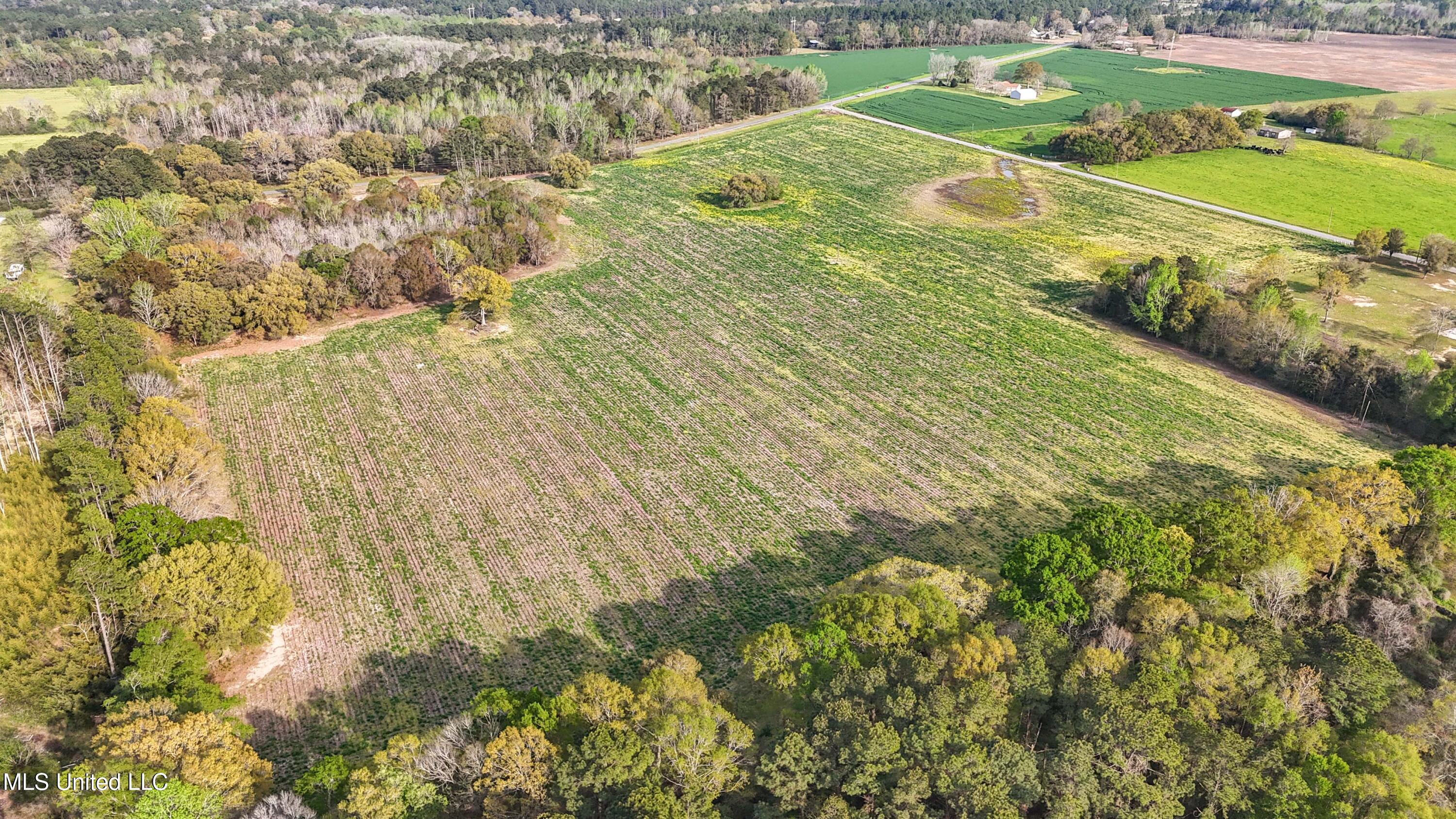 37.9 Acres Ceres Farm Road, Lucedale, Mississippi image 8