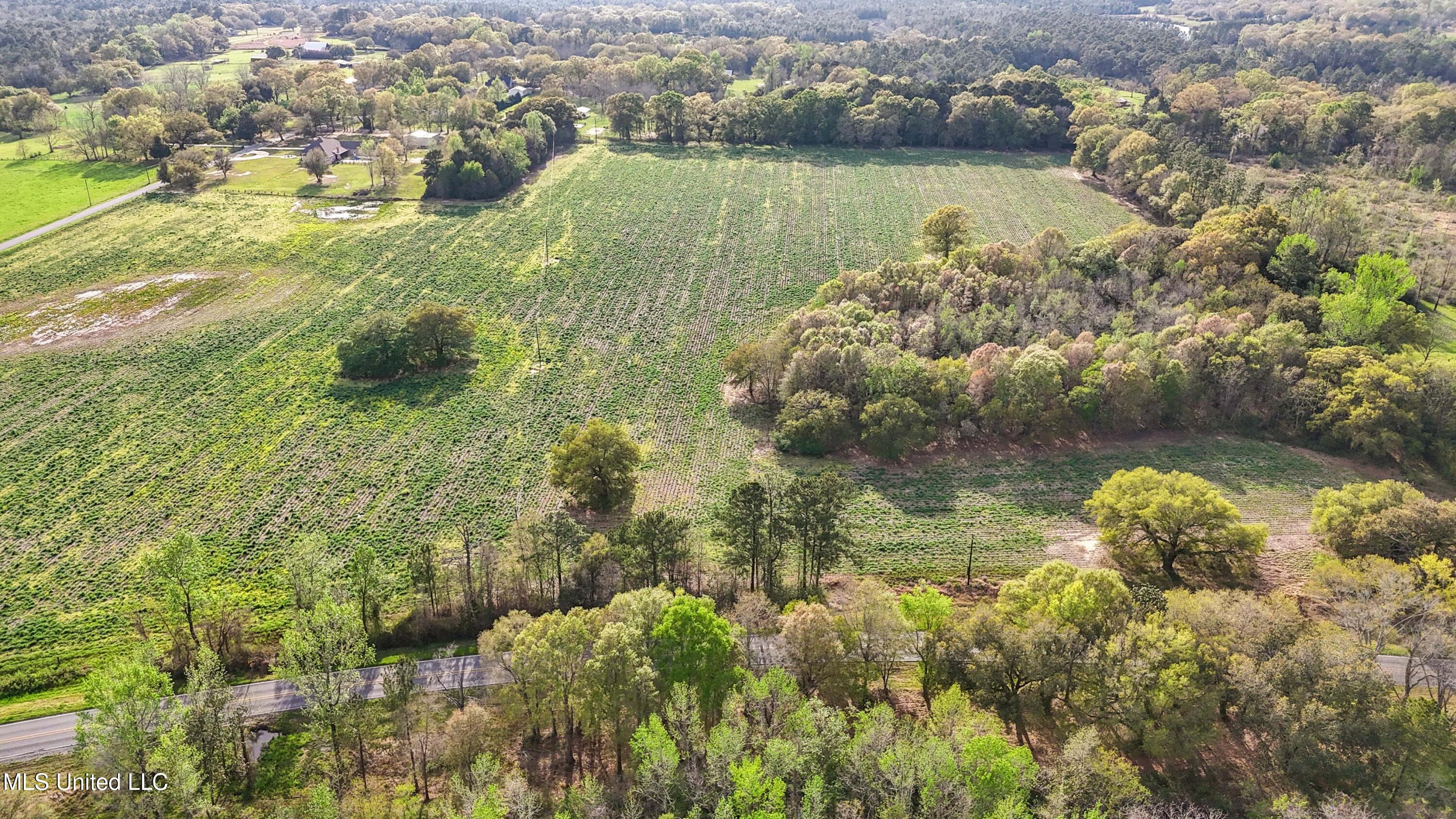 37.9 Acres Ceres Farm Road, Lucedale, Mississippi image 4